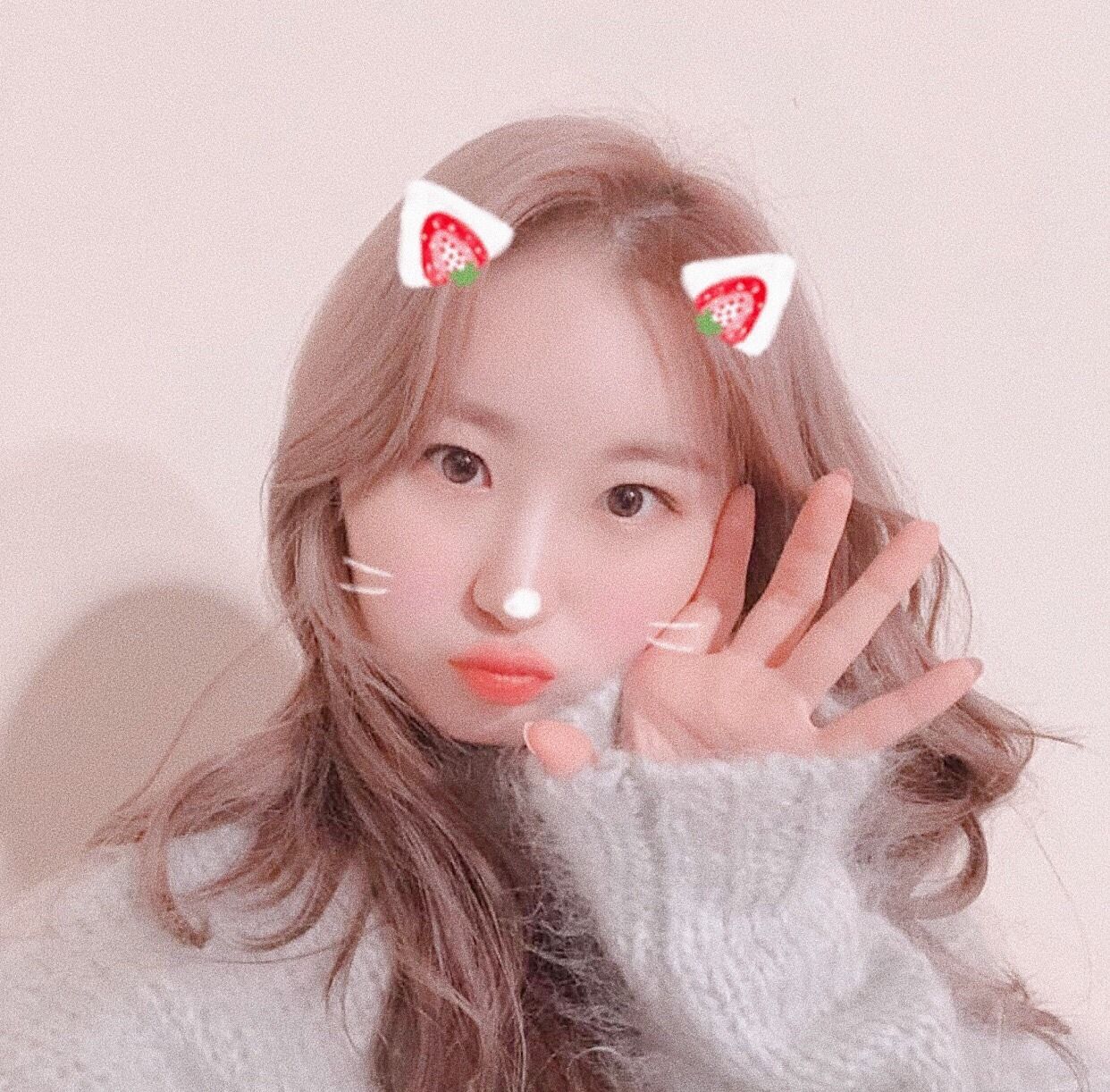 izone soft layouts