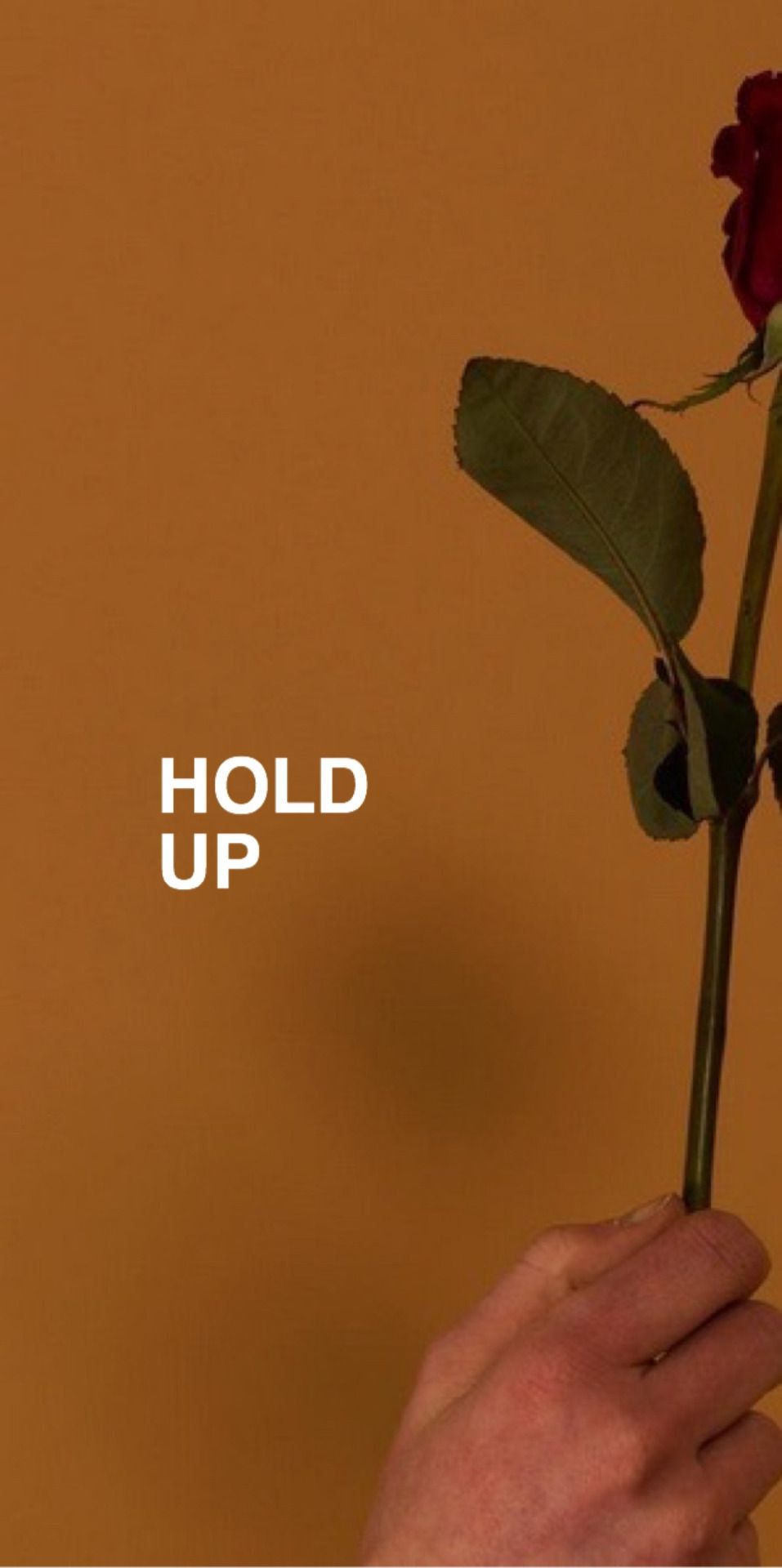 New Post On Pashmina Dhaage. Beyonce Quotes Lemonade, Beyonce