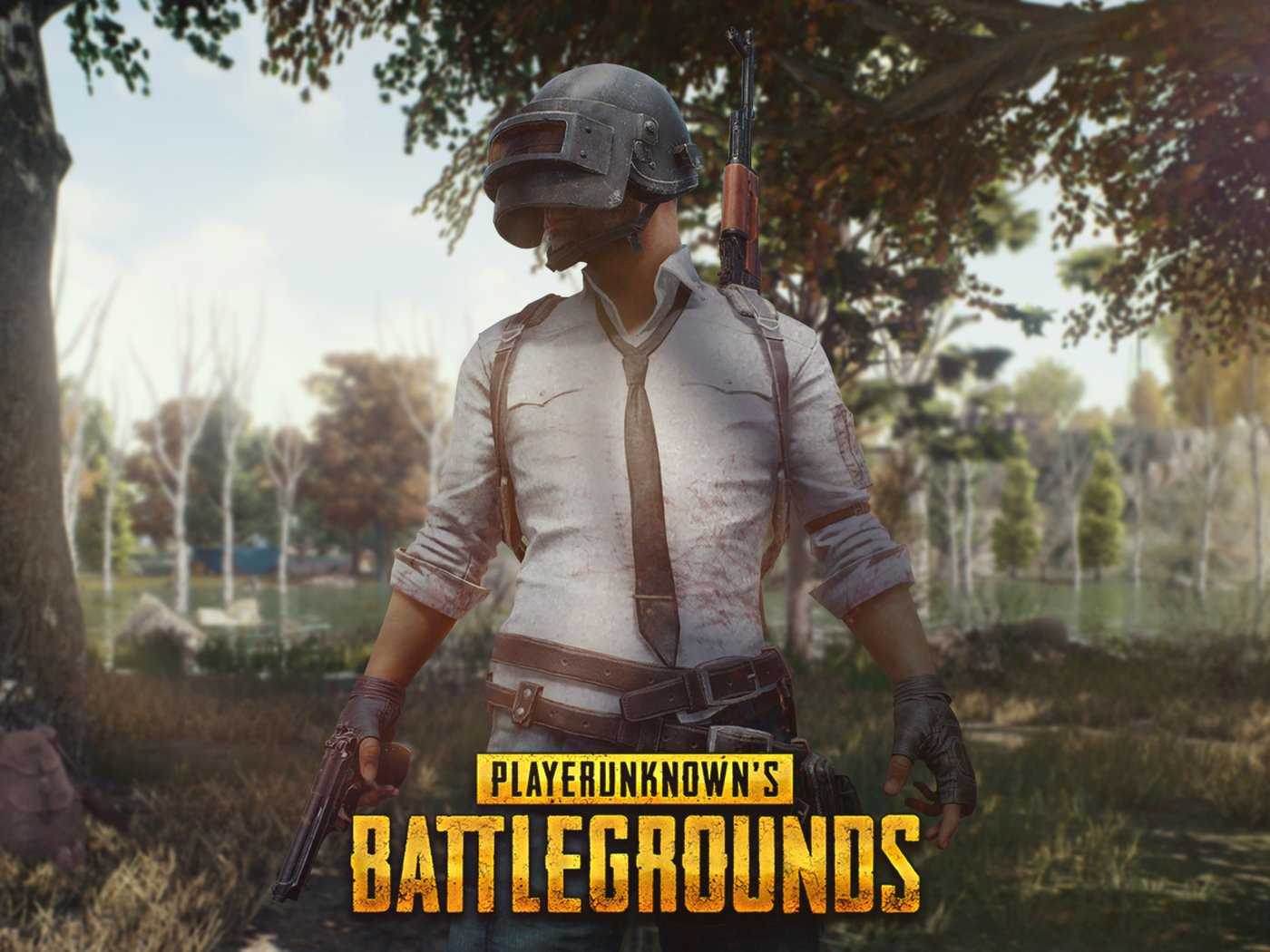 PUBG Mobile Helmet Guy HD Wallpaper (1400x1050)