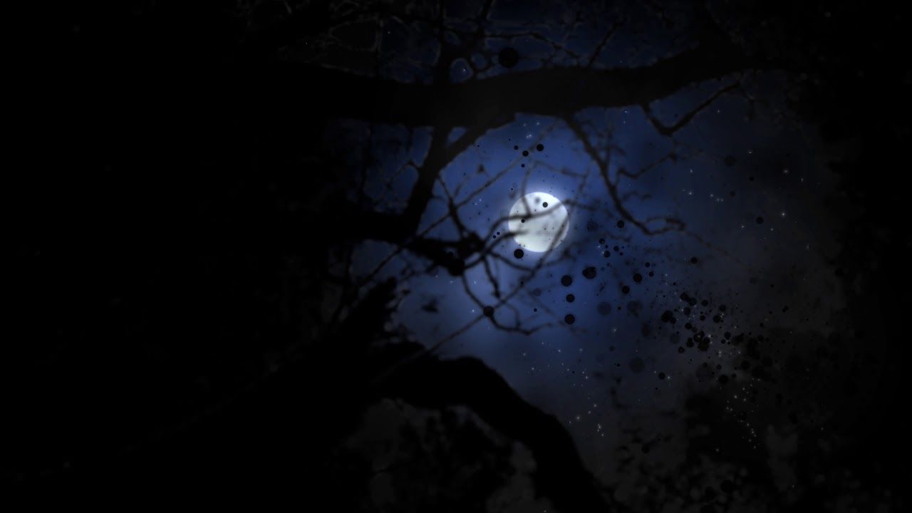 4K Full Moon View Background #AAVFX Dark Night
