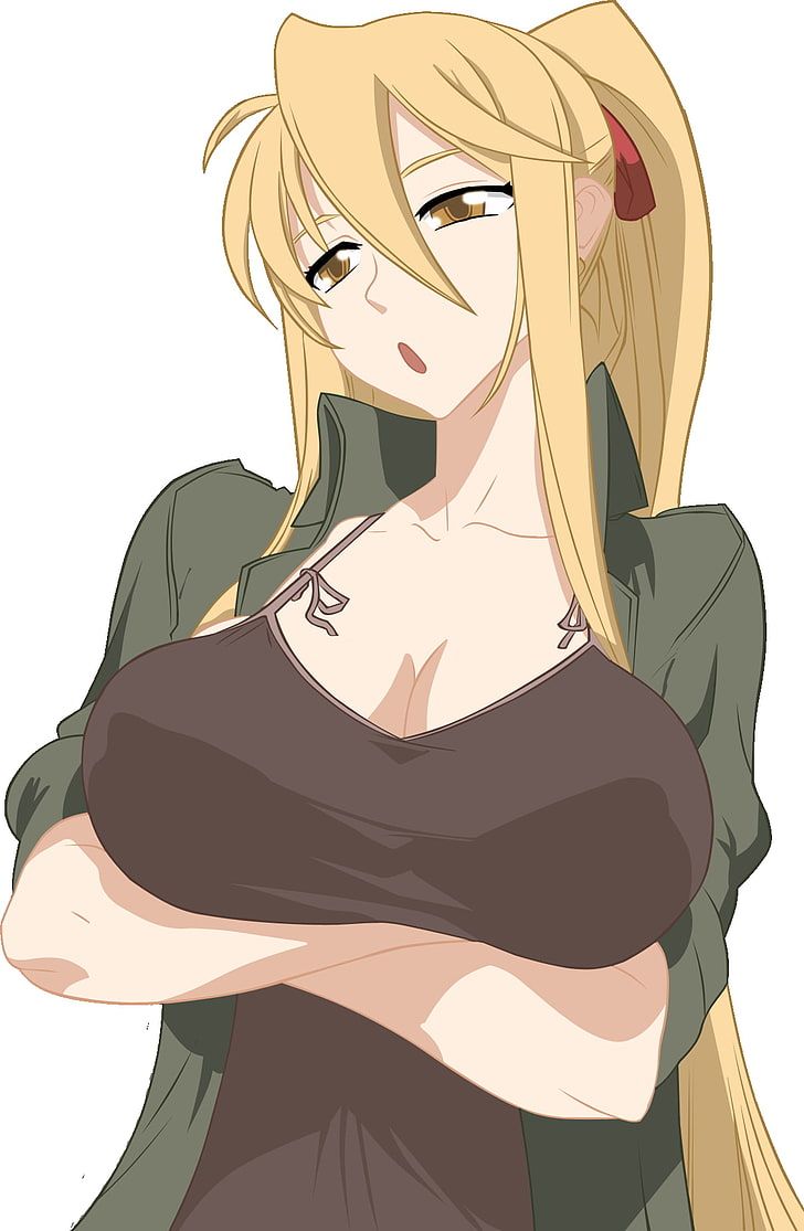 Highschool of the dead 1080P, 2K, 4K, 5K HD wallpaper free