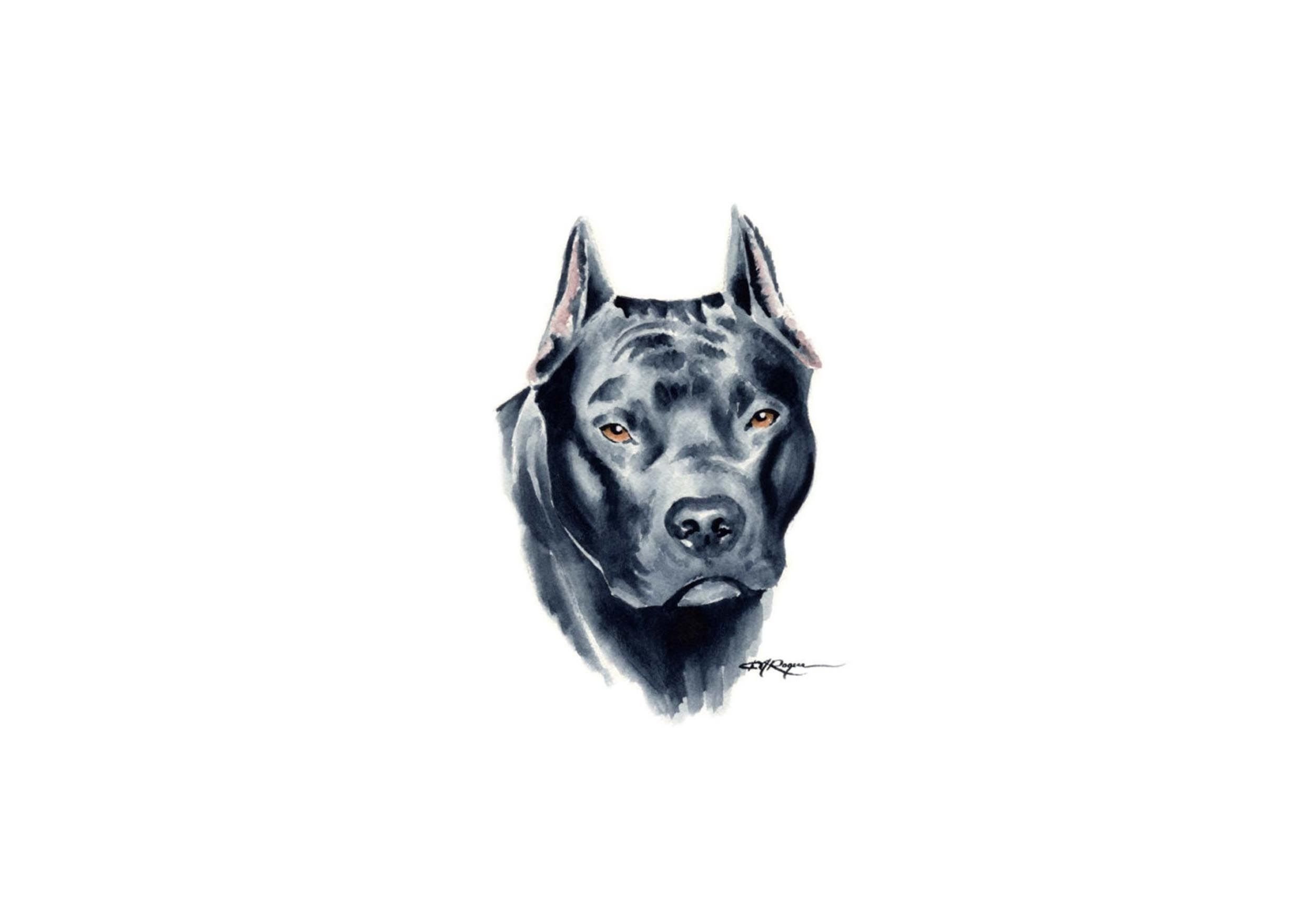 Drawn Pitbull Wallpaper Dog HD Wallpaper 1080p