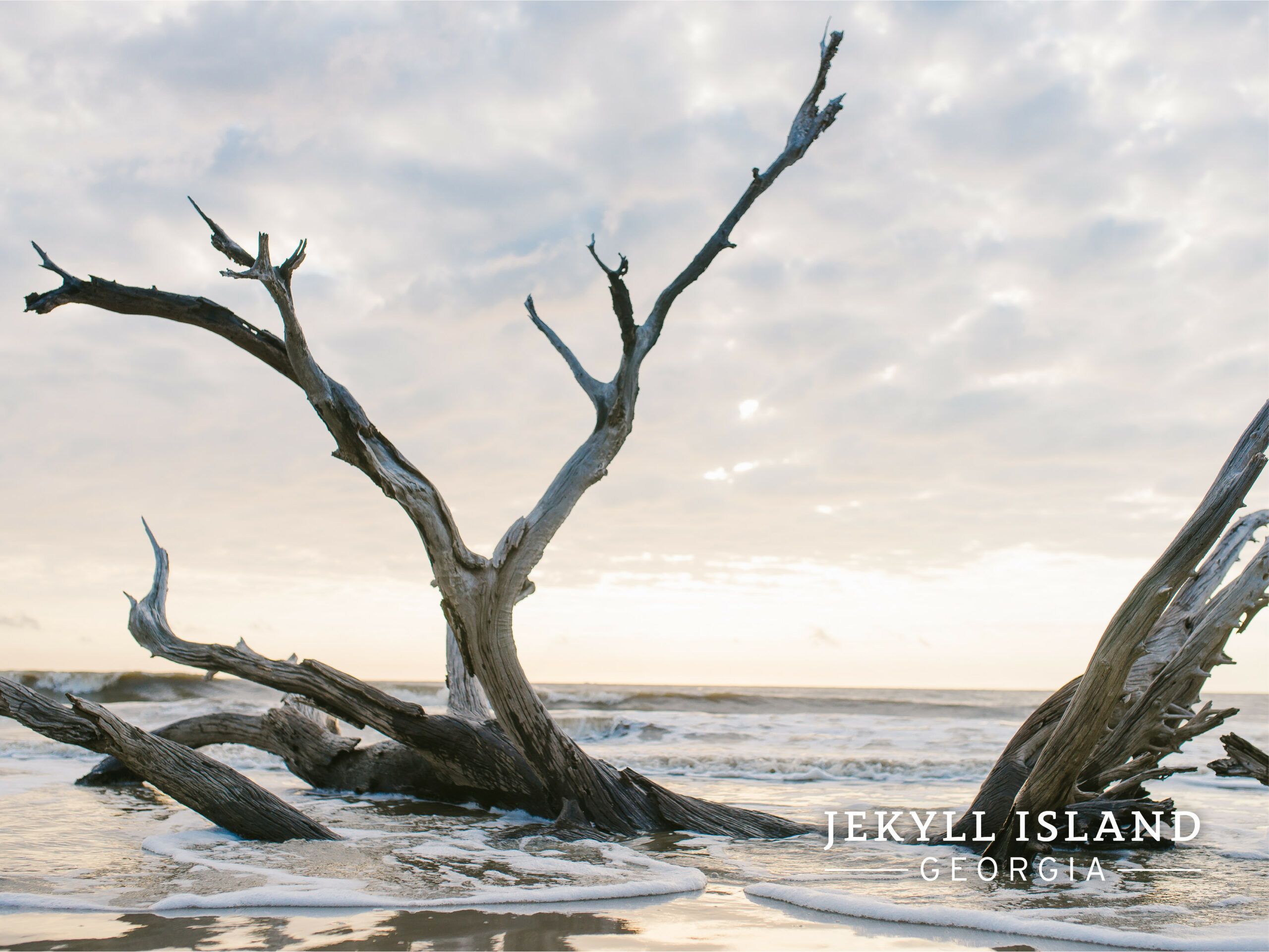 Wallpaper Island's Vacation, Conservation