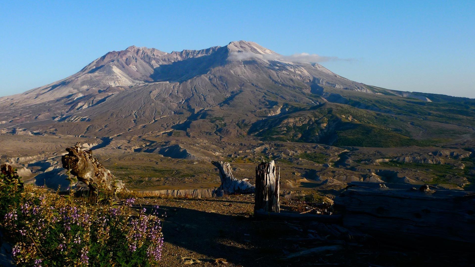 Mt St Helens: Back From the Dead