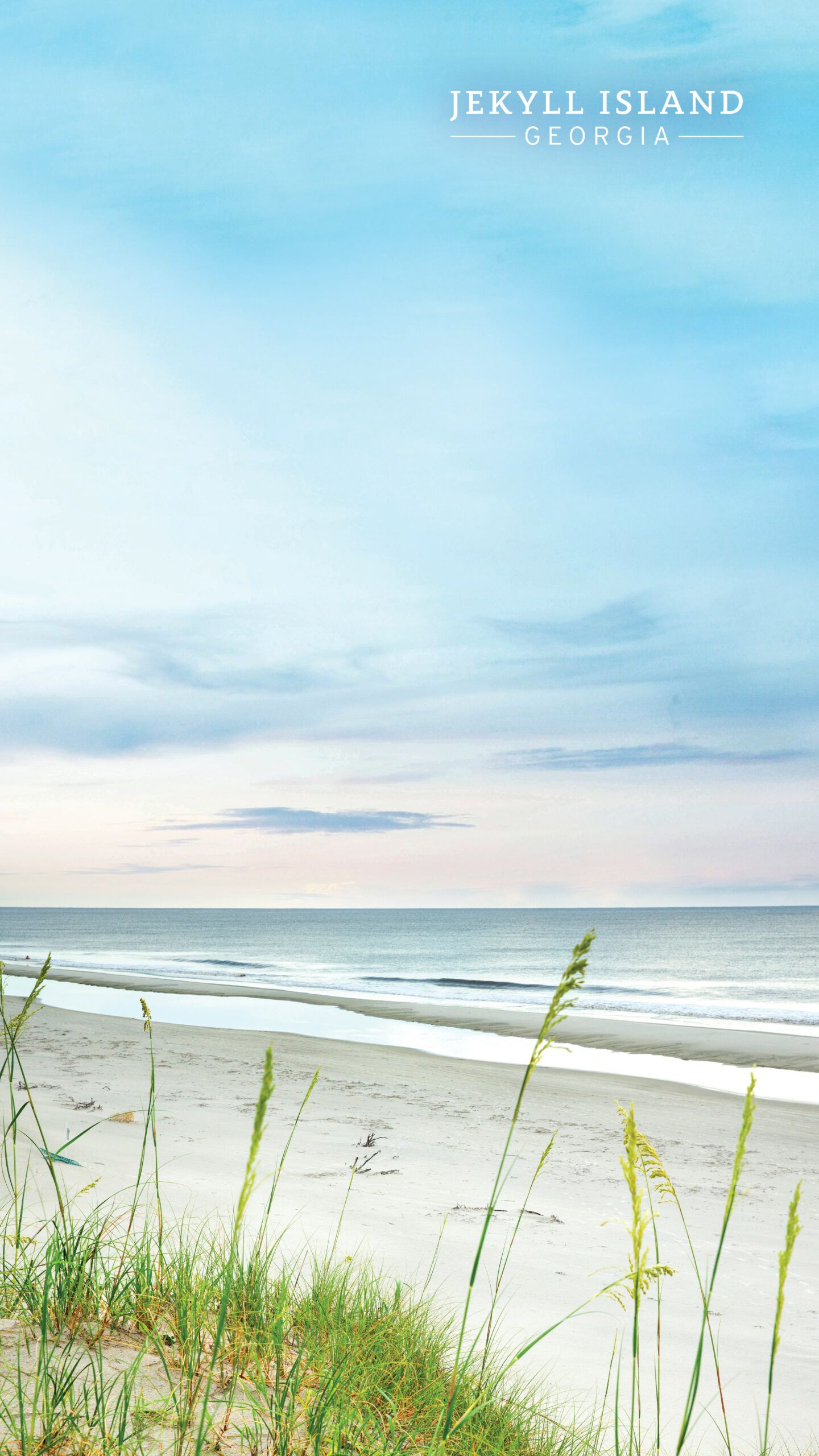 Wallpaper Island's Vacation, Conservation