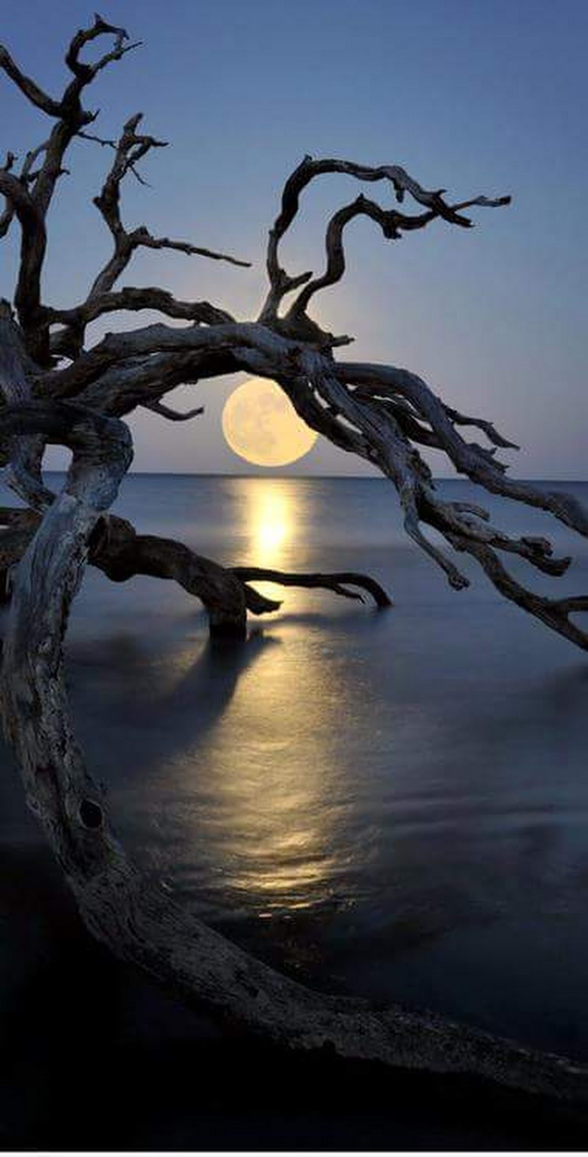 Full moon on jekyll island, GA