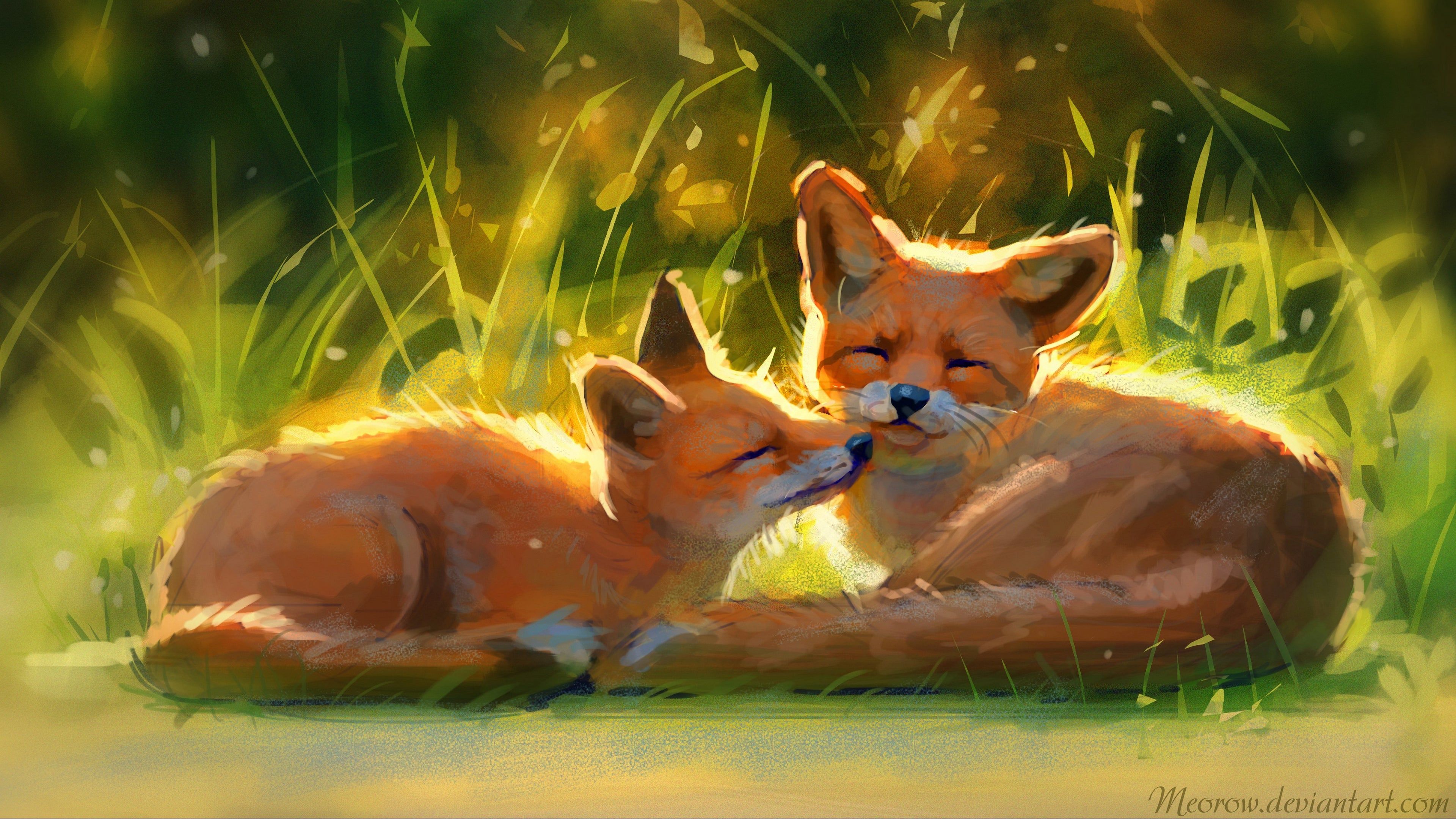 Cute Foxes 4K wallpaper