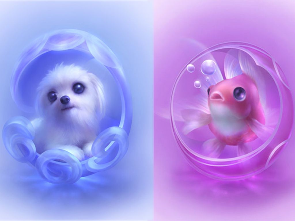 Cute Backgrounds Animals posted by Michelle Tremblay