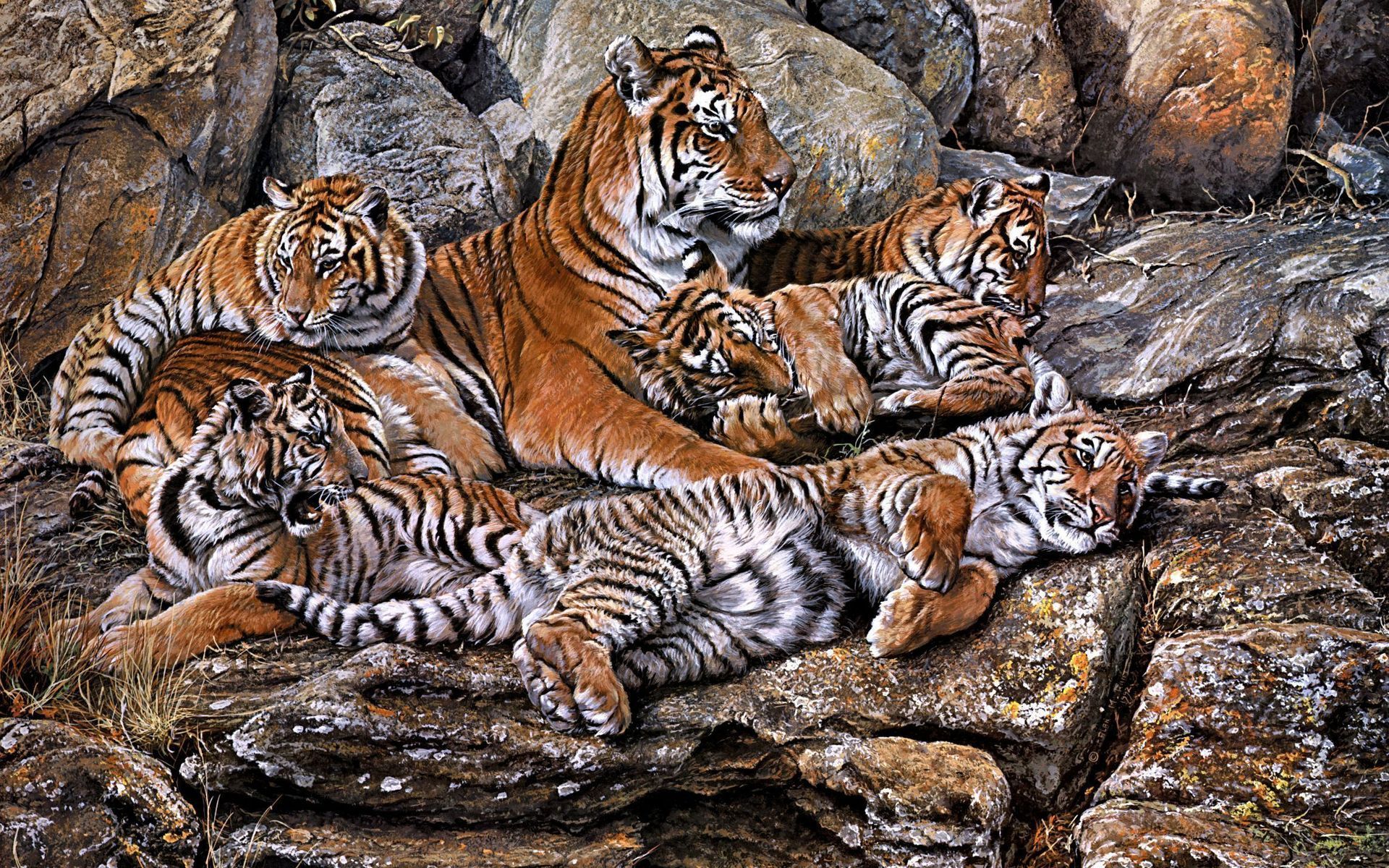 Animals cats tiger painting art predator cubs babies mother