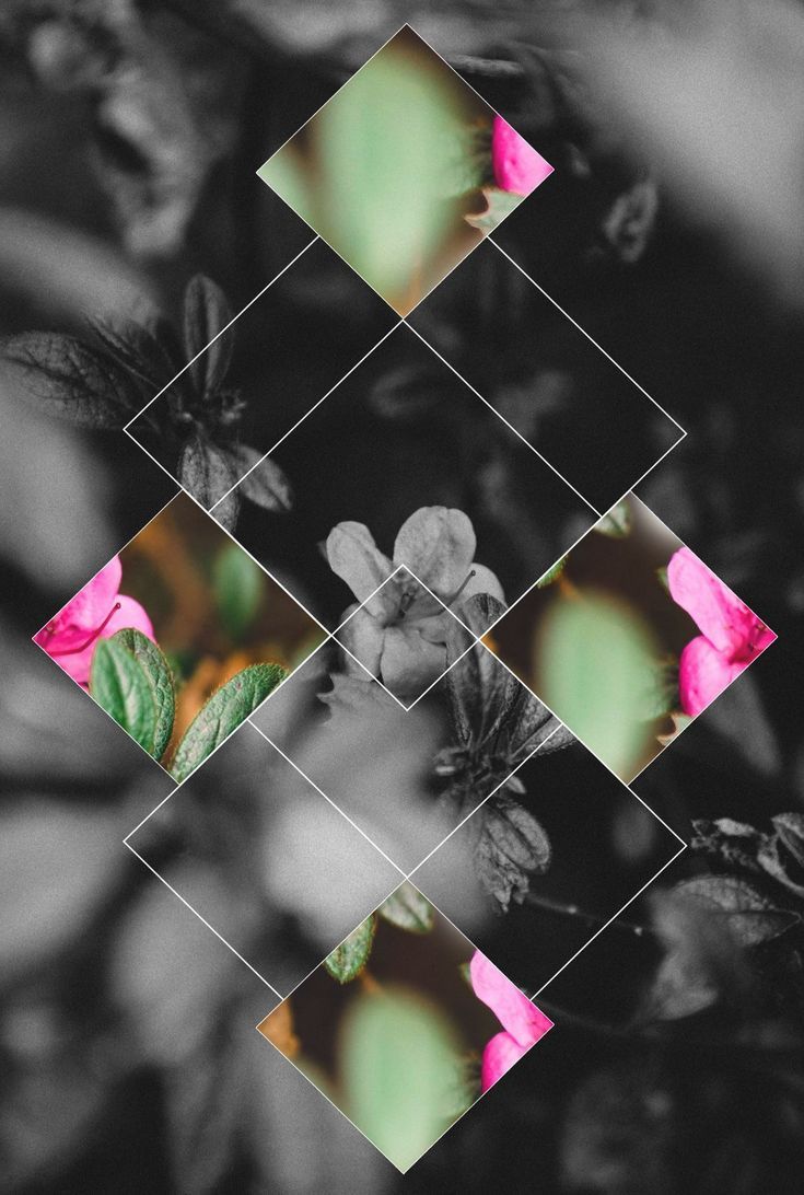 Pretty Floral iPhone Background