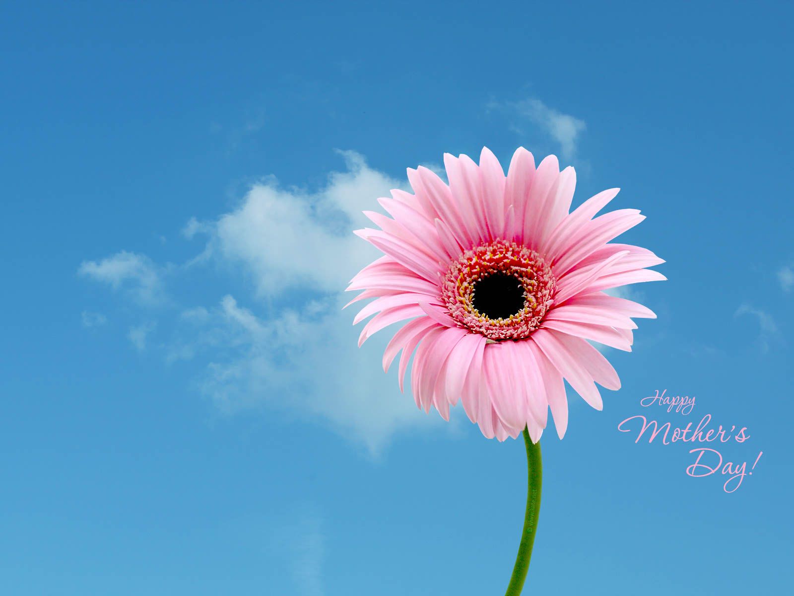 Mothers Day Wallpaper, Happy Mothers Day Photo Hd