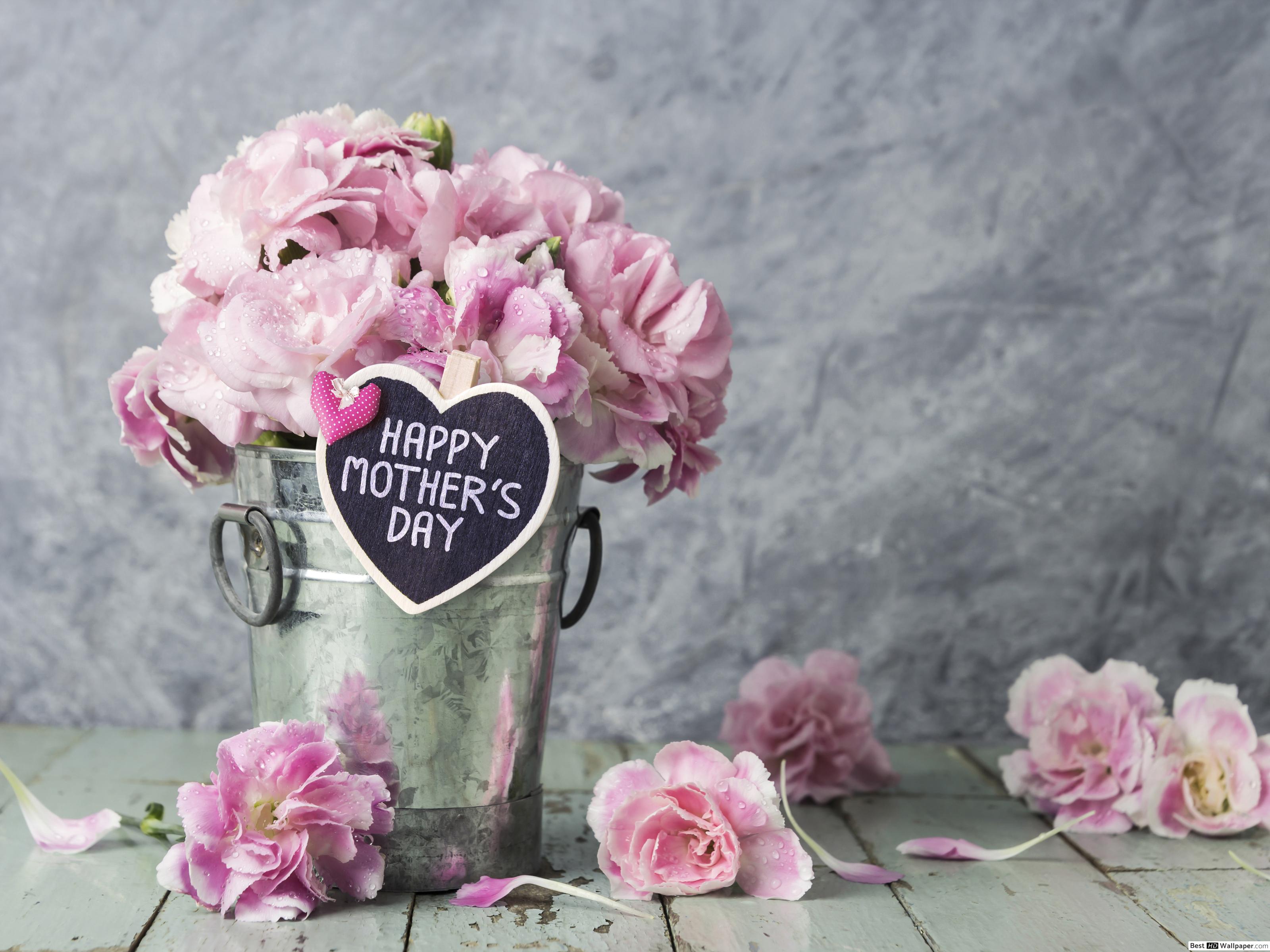 Happy Mother's Day Note and Gift Rose in Bucket HD wallpaper download