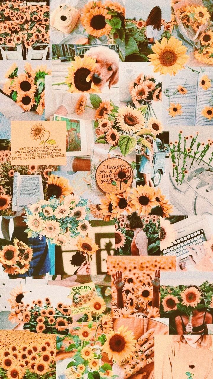Free download Yellow aesthetic collage made by me Kaila y e l l o w in 2019  1012x1800 for your Desktop Mobile  Tablet  Explore 47 Yellow  Aesthetic Wallpaper  Aesthetic Wallpaper Emo Aesthetic Wallpaper Cute  Aesthetic Wallpapers