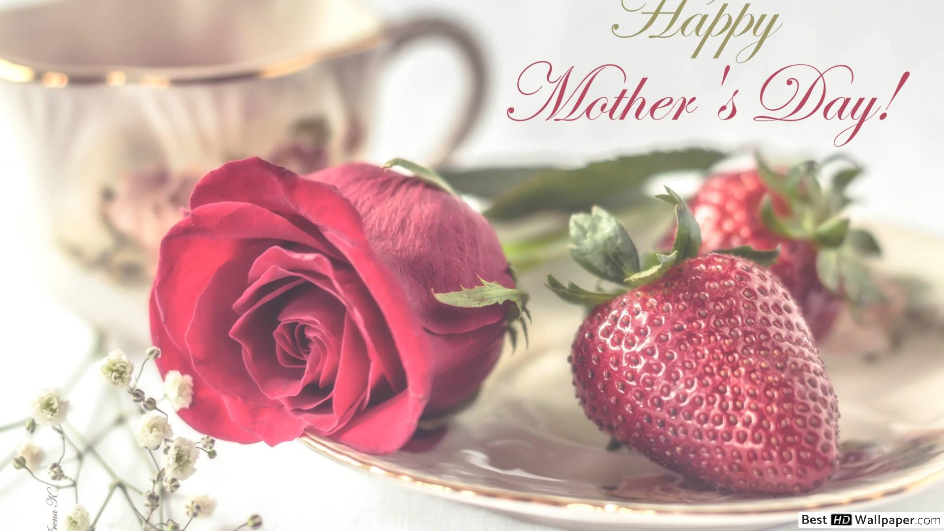 Red Rose and Strawberry to celebrate Mother's Day HD wallpaper