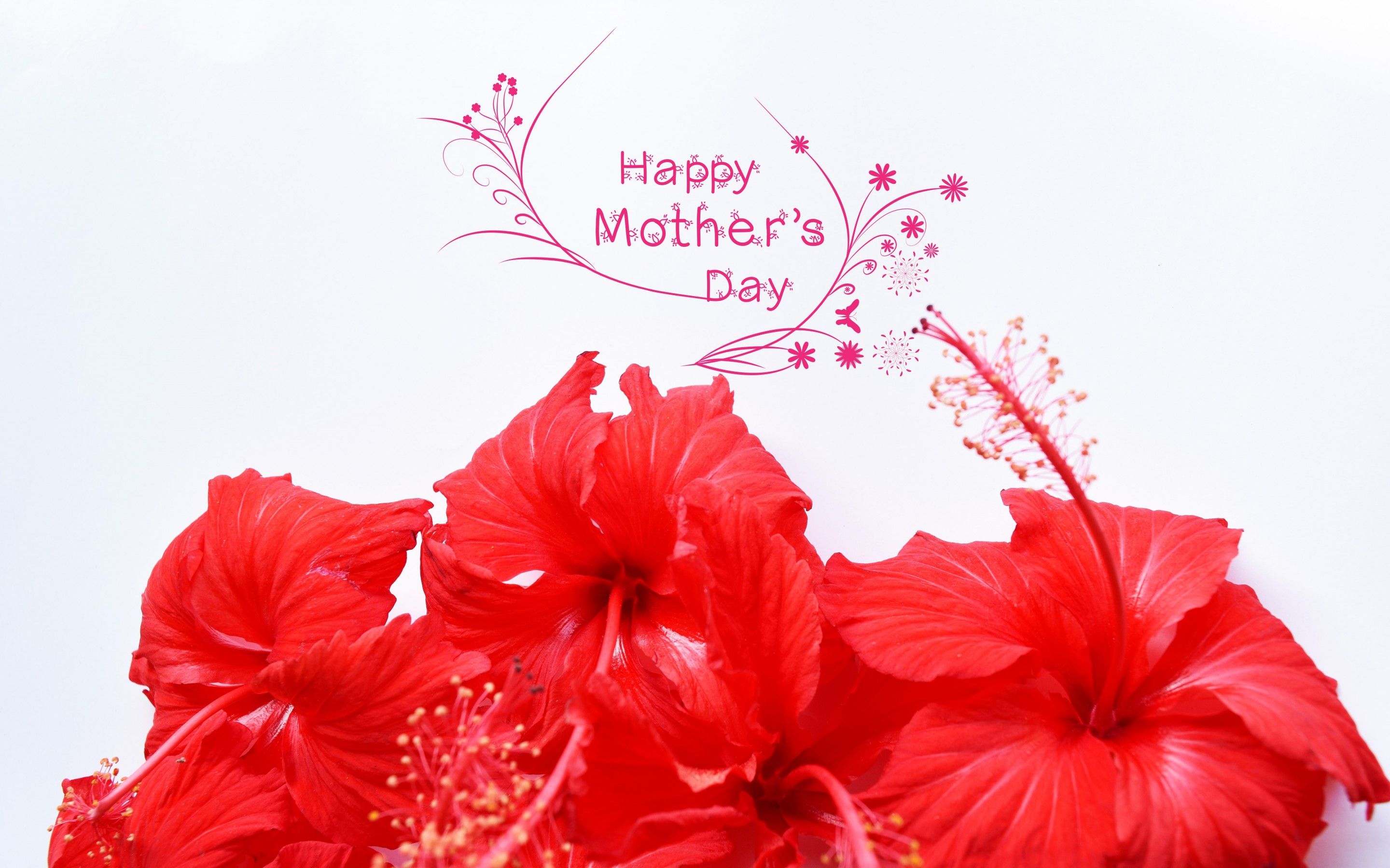 Wallpaper Happy Mothers Day, Hibiscus flowers, Red flowers, 5K