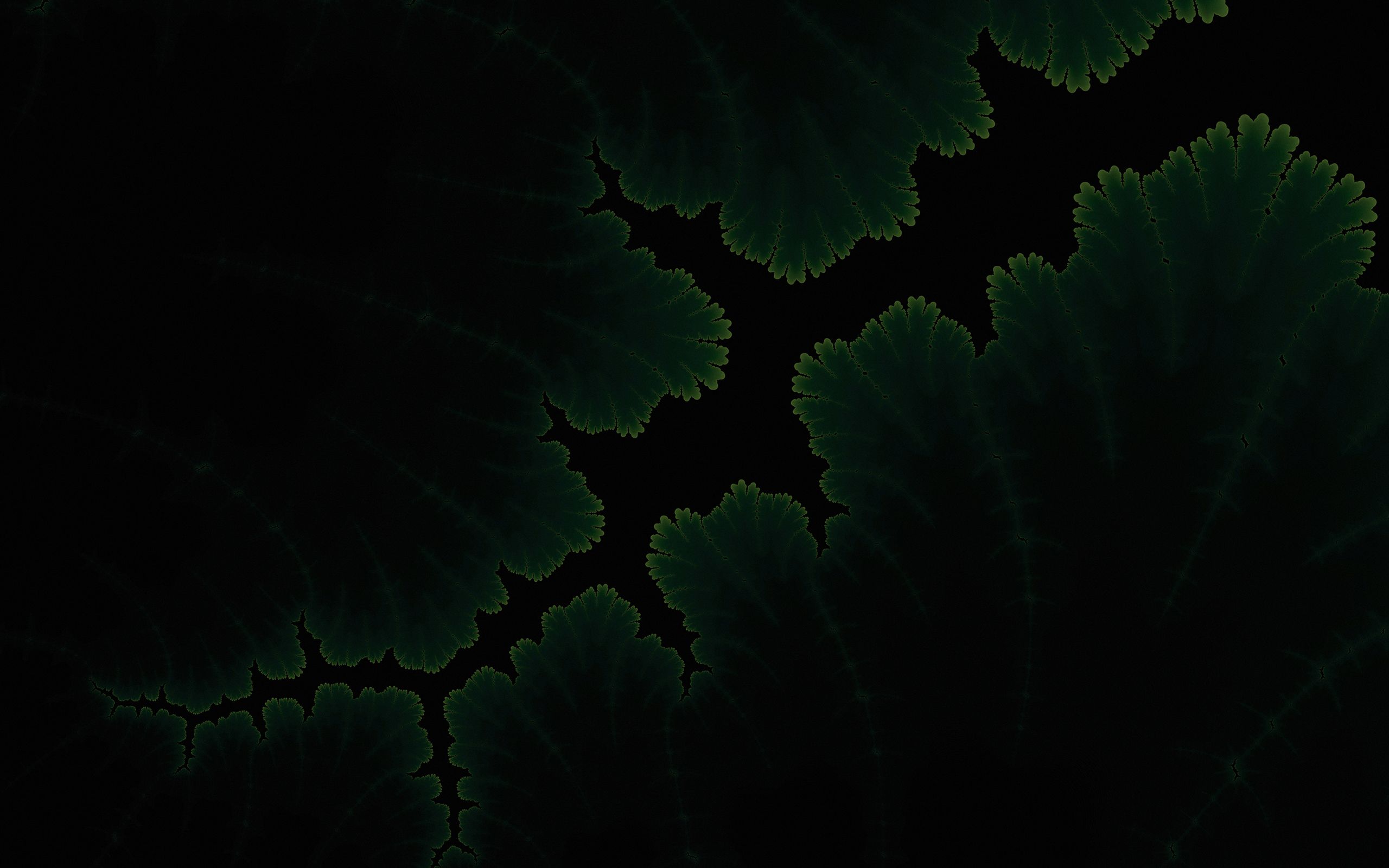 Green Plants Dark Amoled 2560x1600 Resolution HD 4k