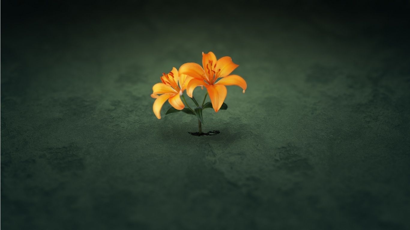 Anime Flower Wallpapers - Wallpaper Cave