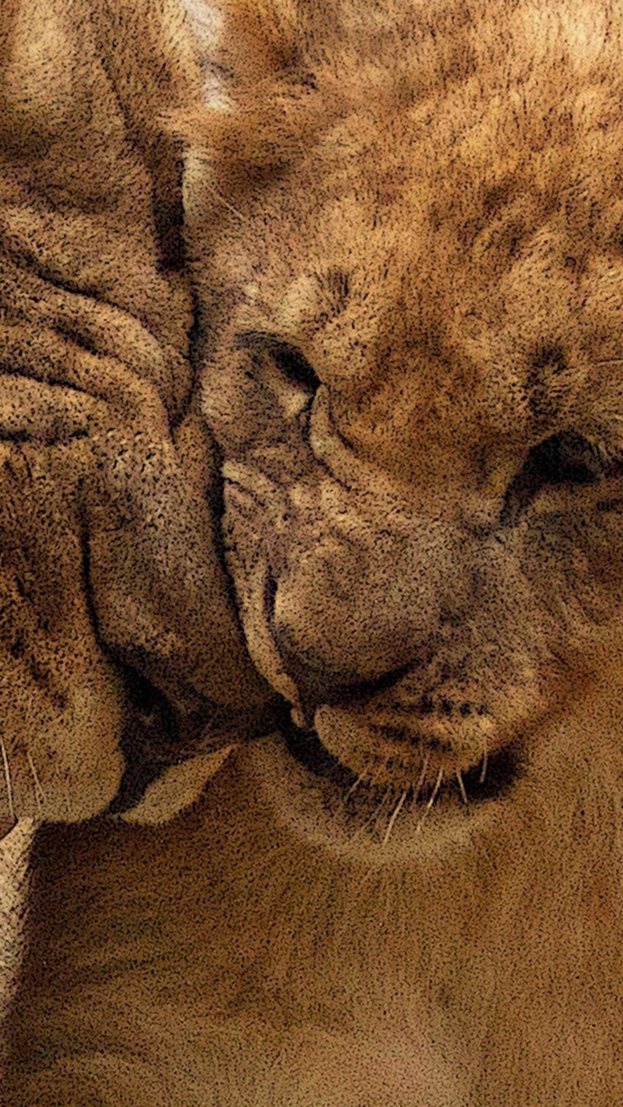Lion Mother Cub HD Wallpaper (2160x3840)