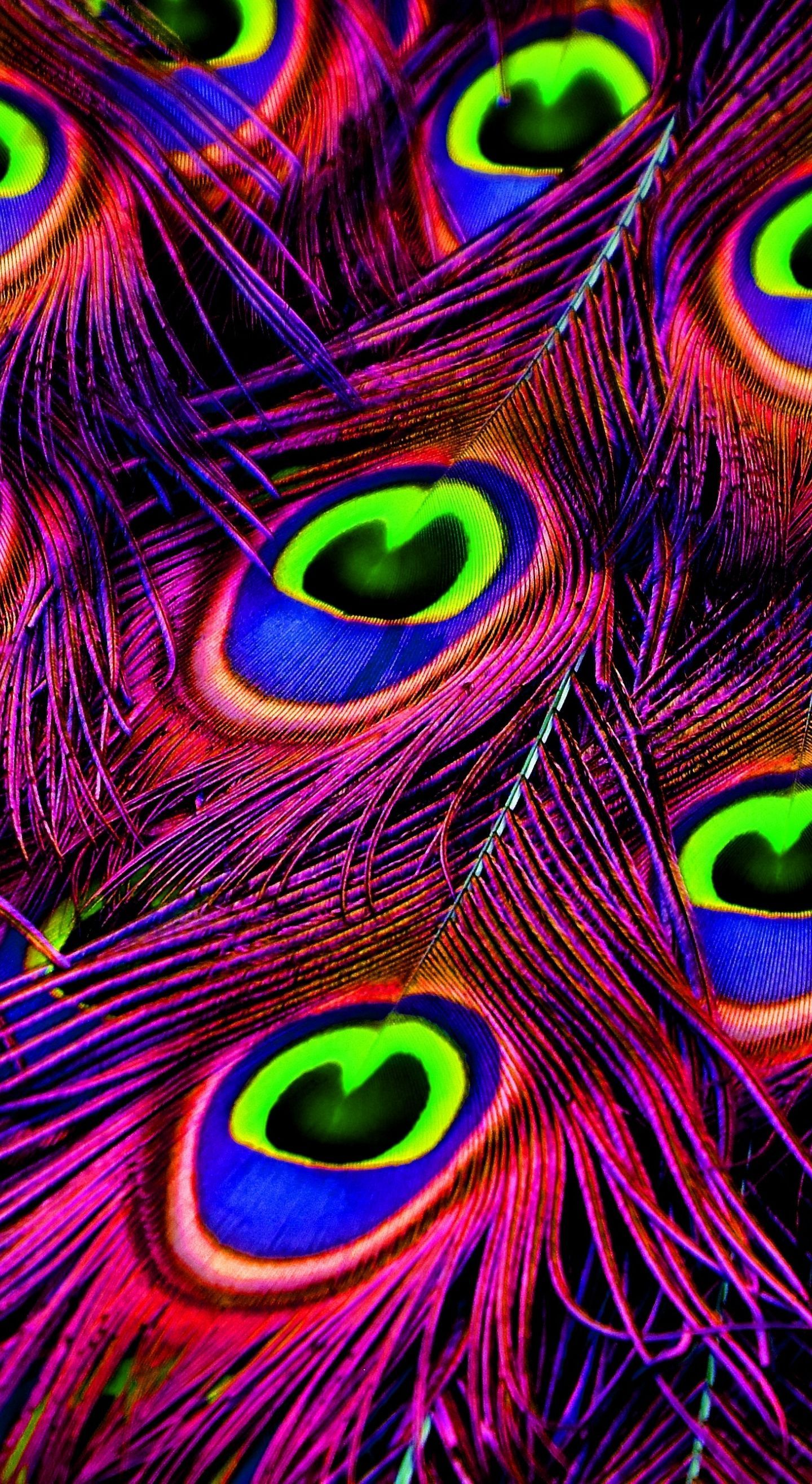 Feather, plumage, peacock, 1440x2630 wallpaper. Feather wallpaper