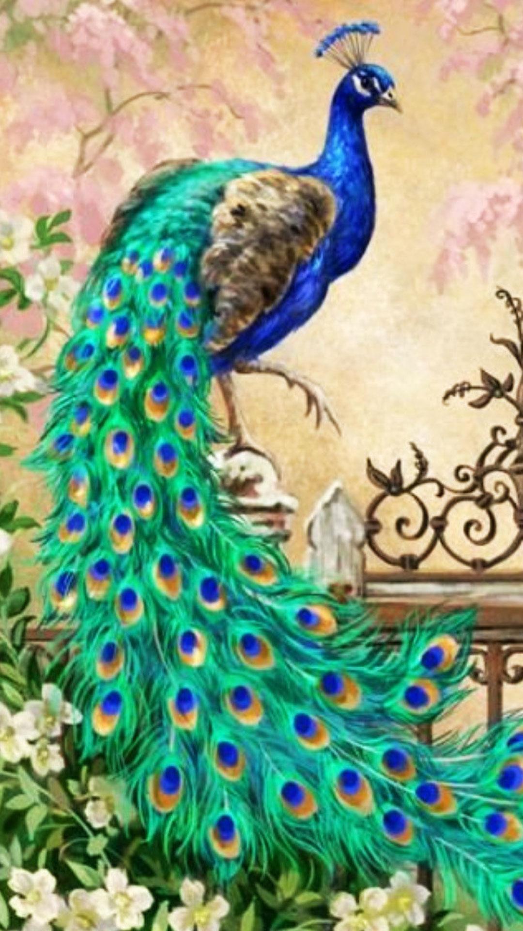 Peacock Live Wallpaper Picture of Peacocks for Android