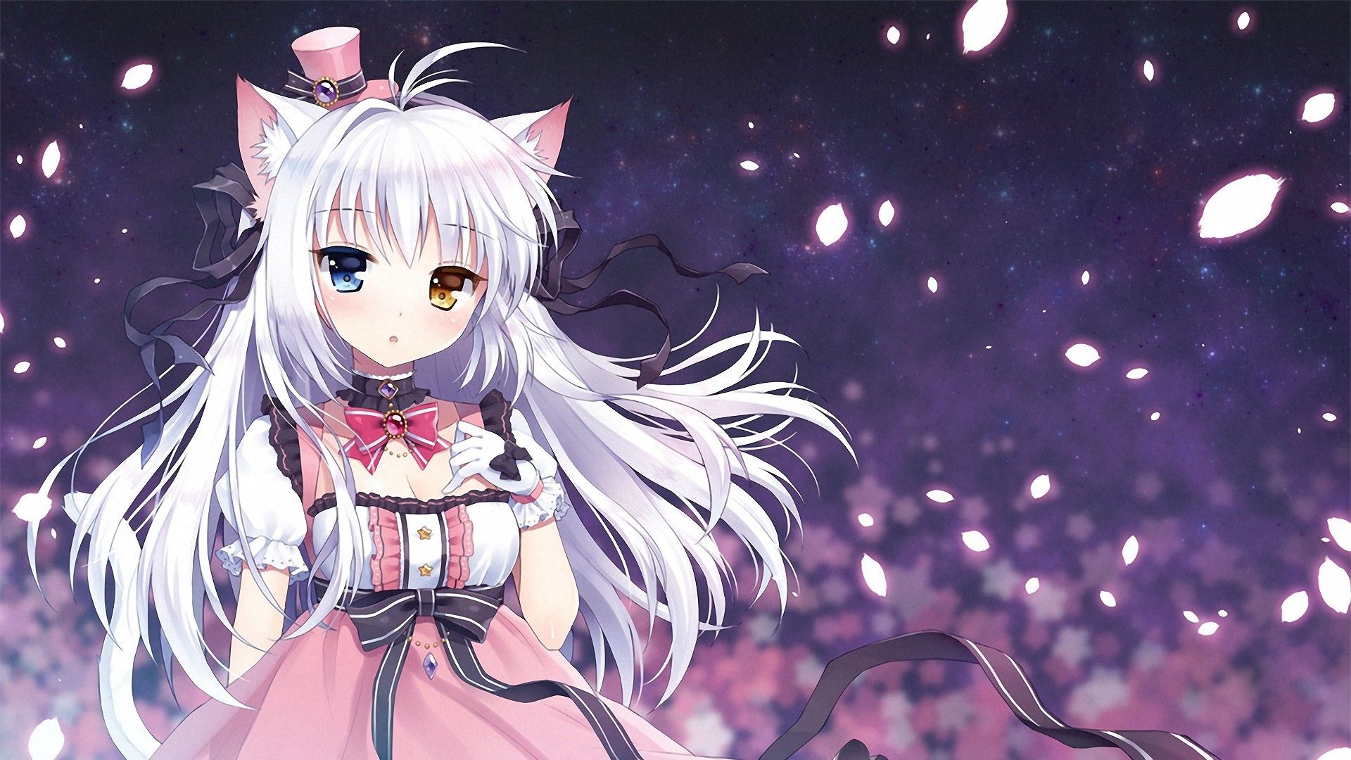 anime, Anime Girls, Cat Girl, Heterochromia, Nekomimi, Original Characters, Gloves, White Hair Wallpaper HD / Desktop and Mobile Background
