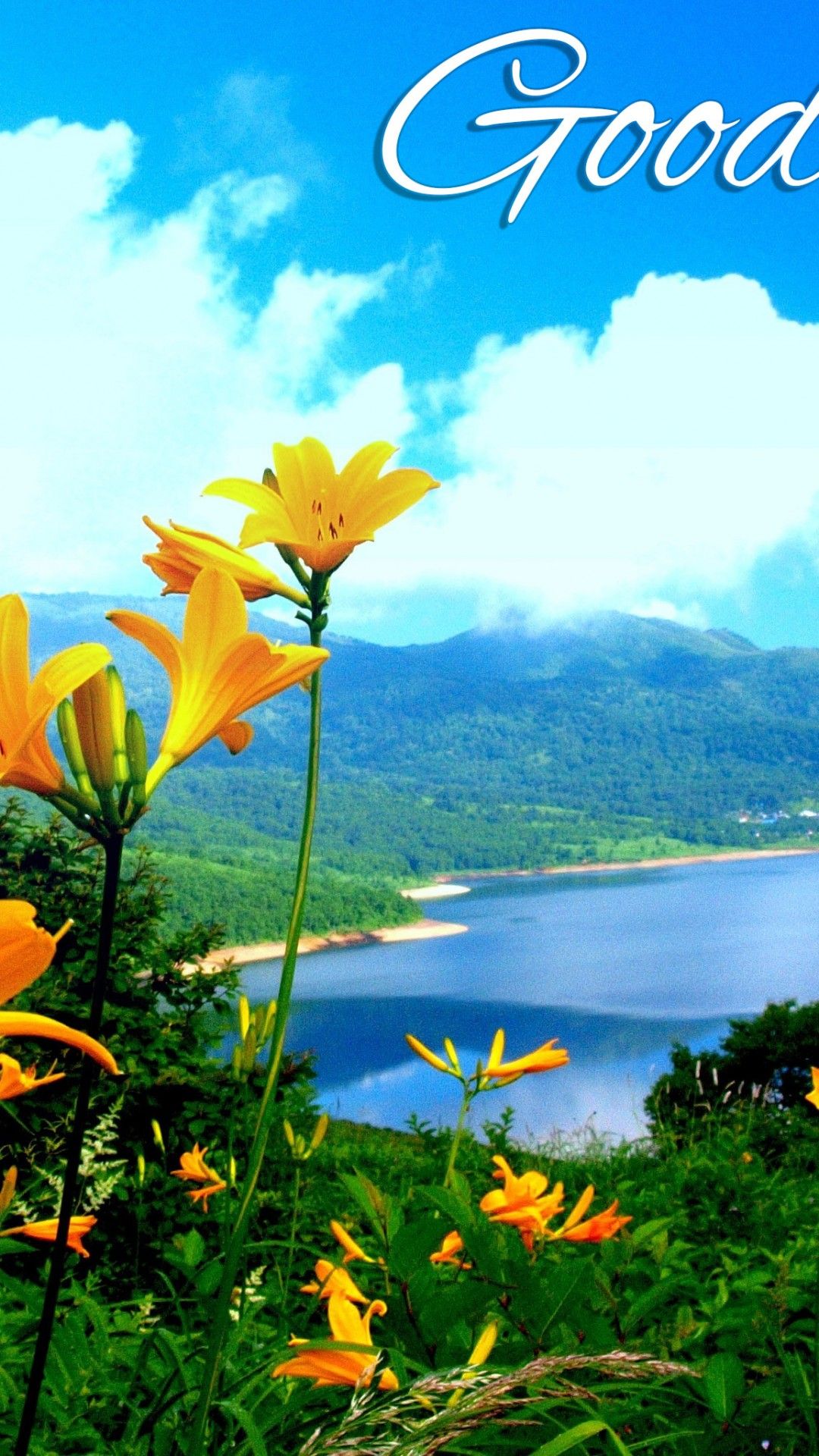 Flower Nature Wallpaper HD For Mobile Wallpaper