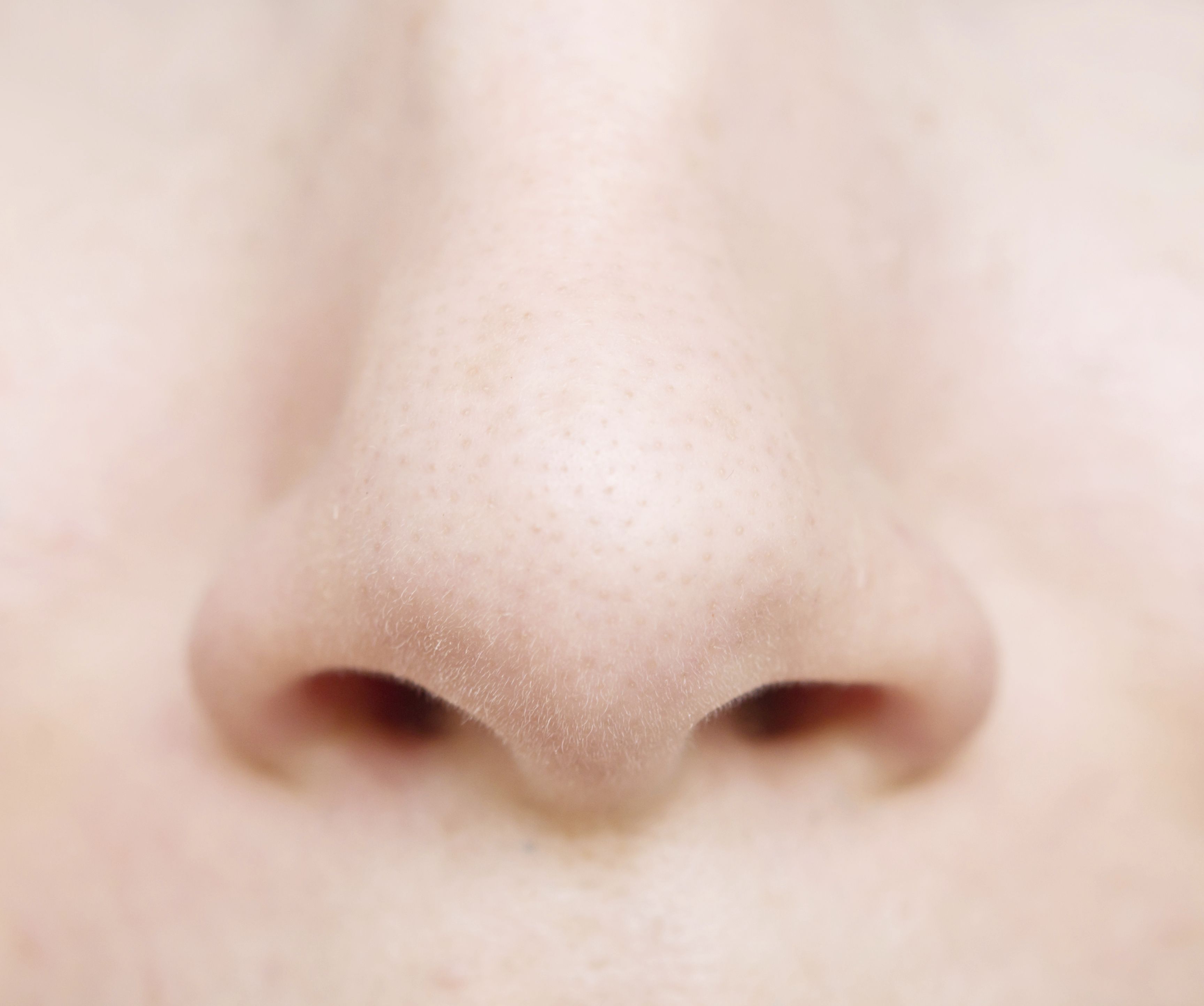Free photo: Nose, Closeup, Macro