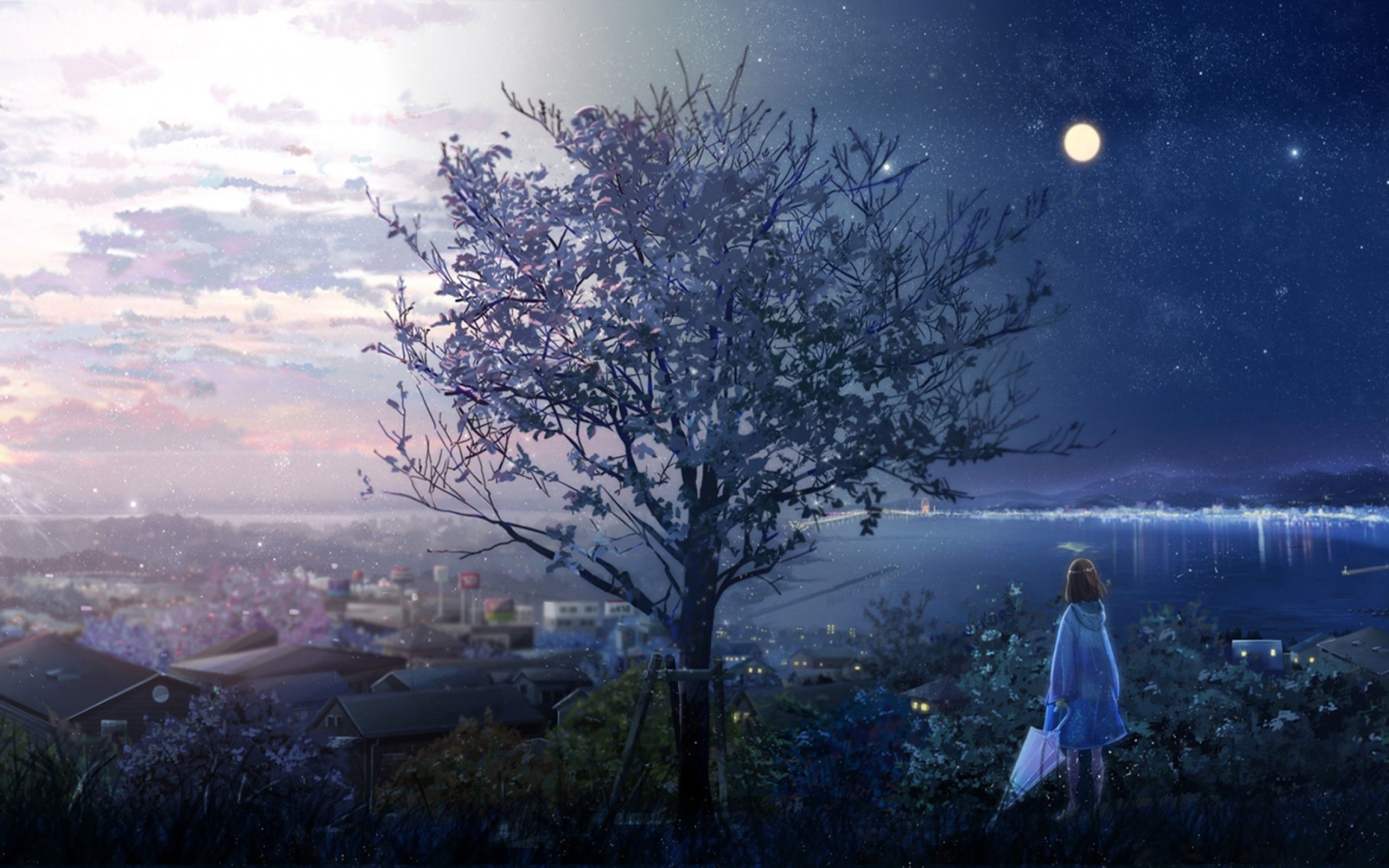 Download 2560x1600 Anime Girl, Lonely Tree, Moon, Stars, Sunrise
