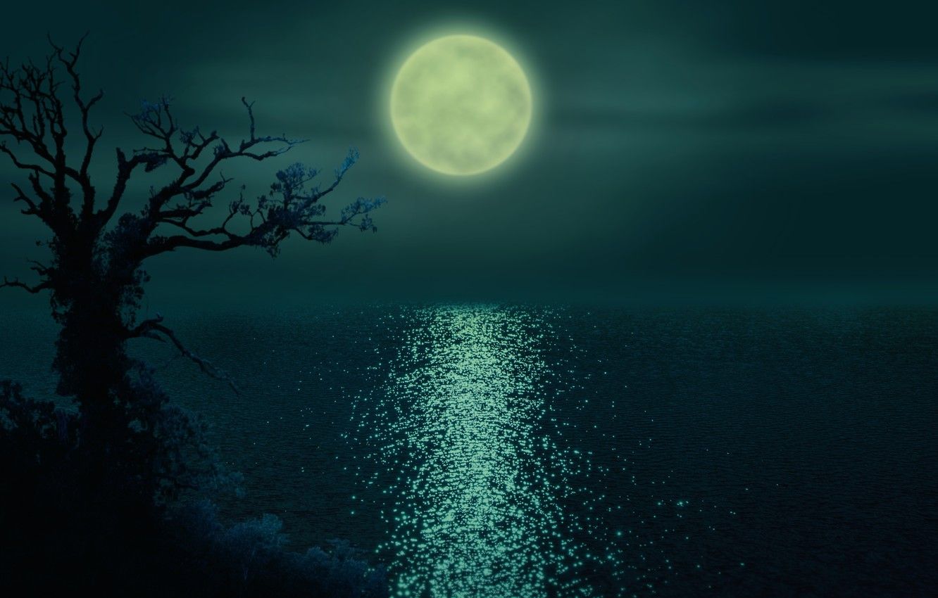 Wallpaper night, river, The moon, the ripples on the water, lonely
