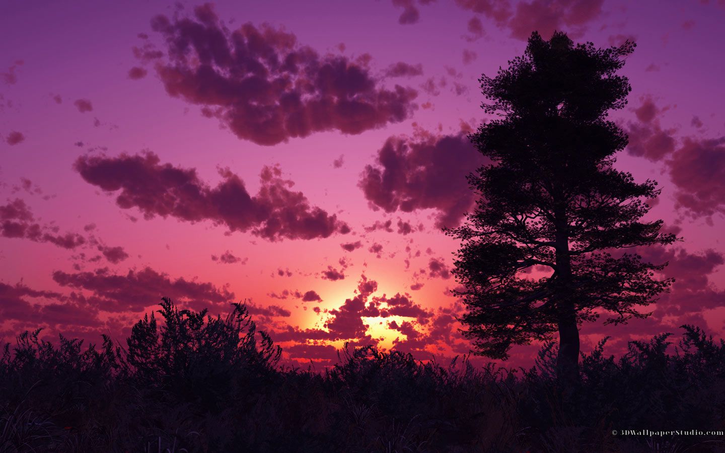 Purple Sunset Desktop Wallpaper