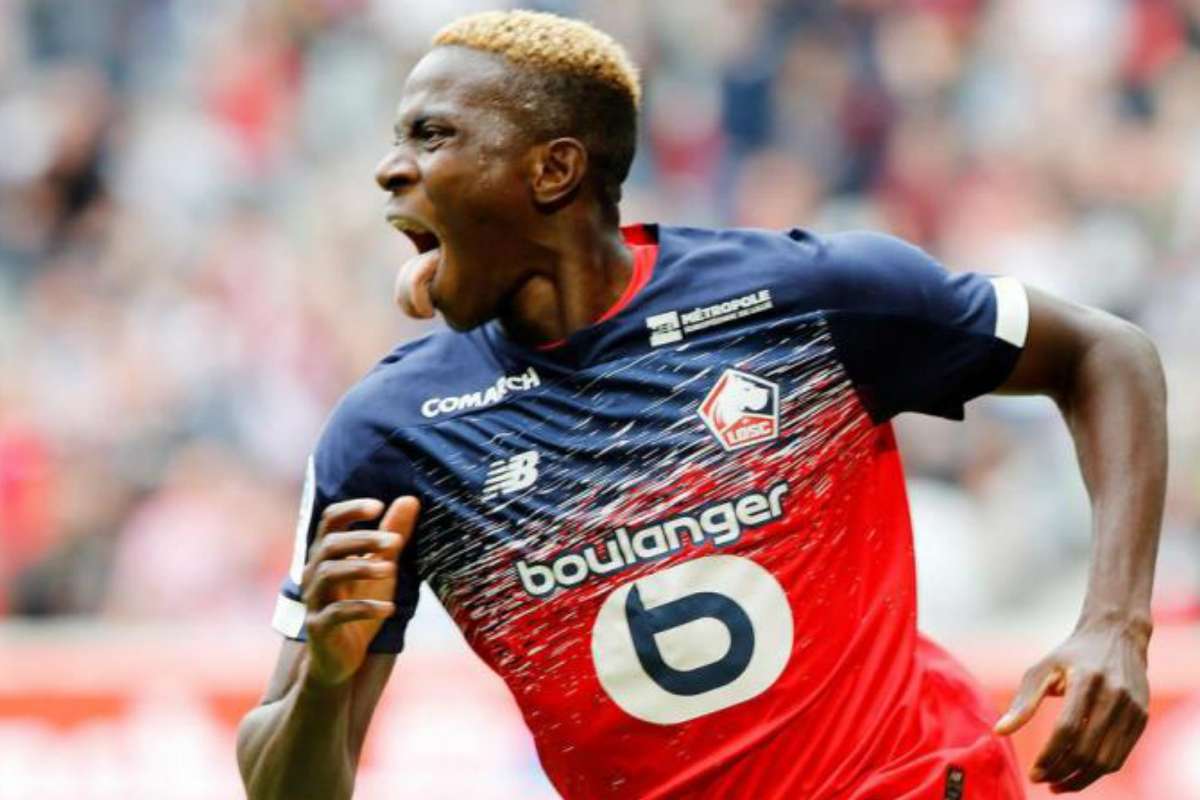 The new Drogba? Lille's Nigerian hotshot Victor Osimhen sets