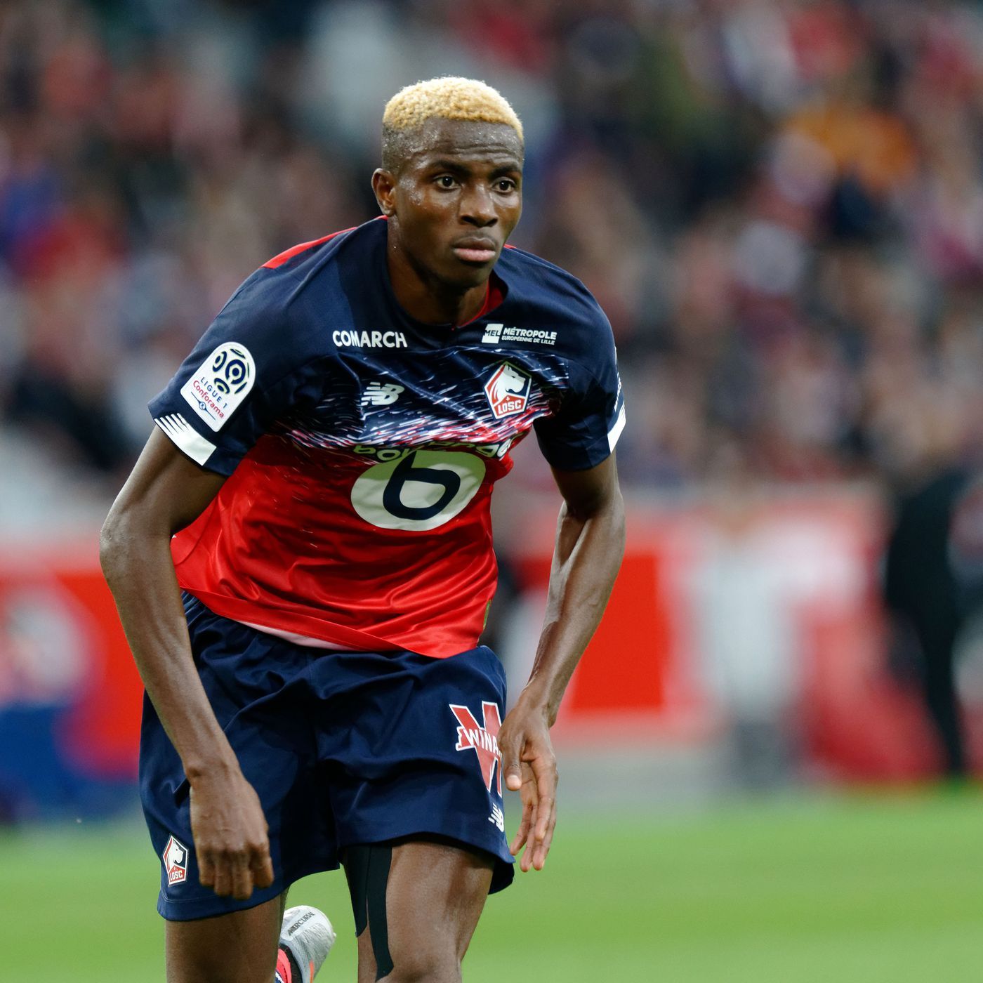 Report: Bayern Munich are scouting Lille's Victor Osimhen