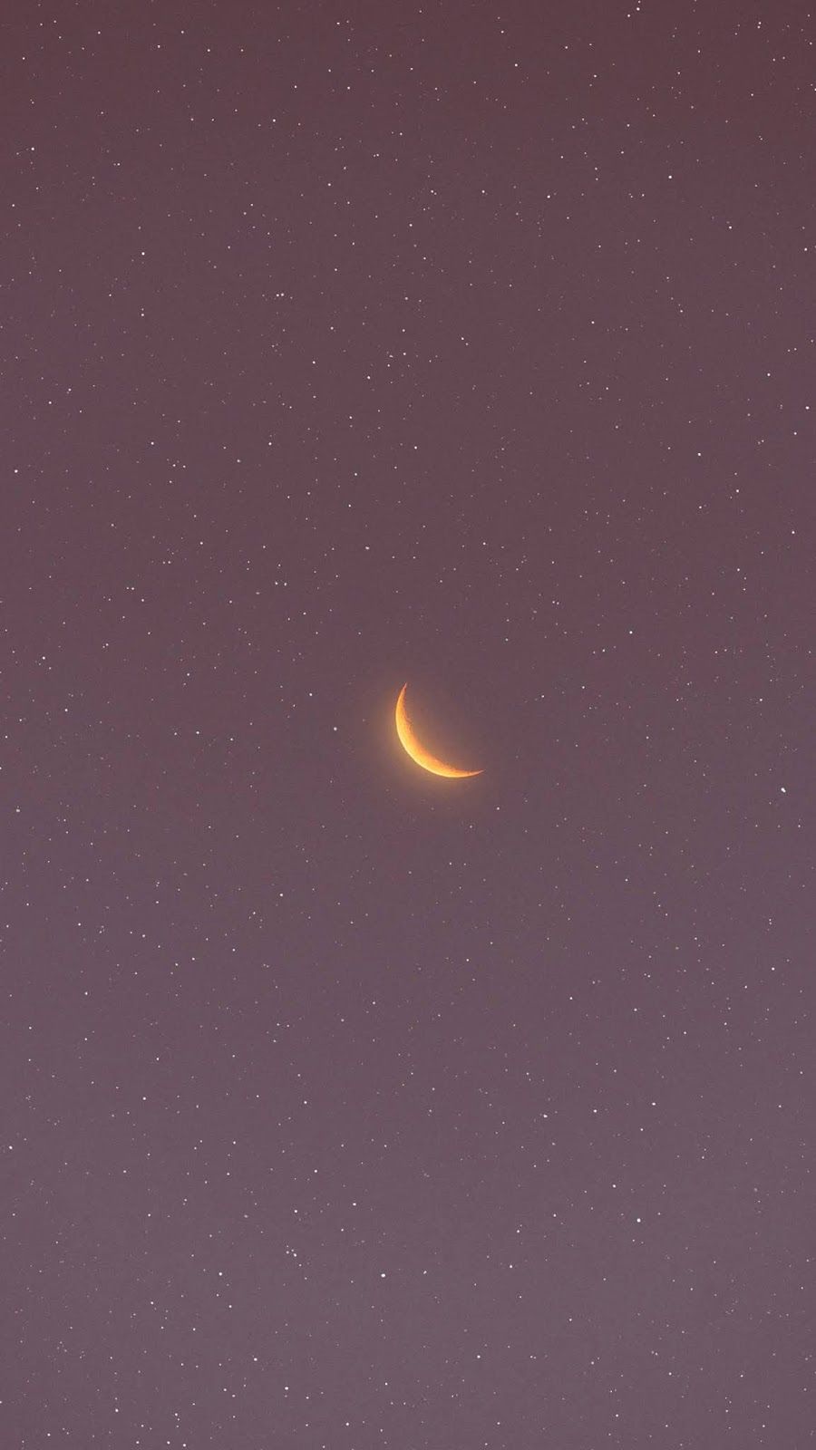 Crescent moon in the pink sky