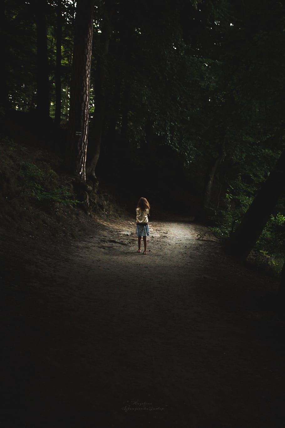 HD wallpaper: forest, child, alone, dark, gloomy, scary, path, loneliness