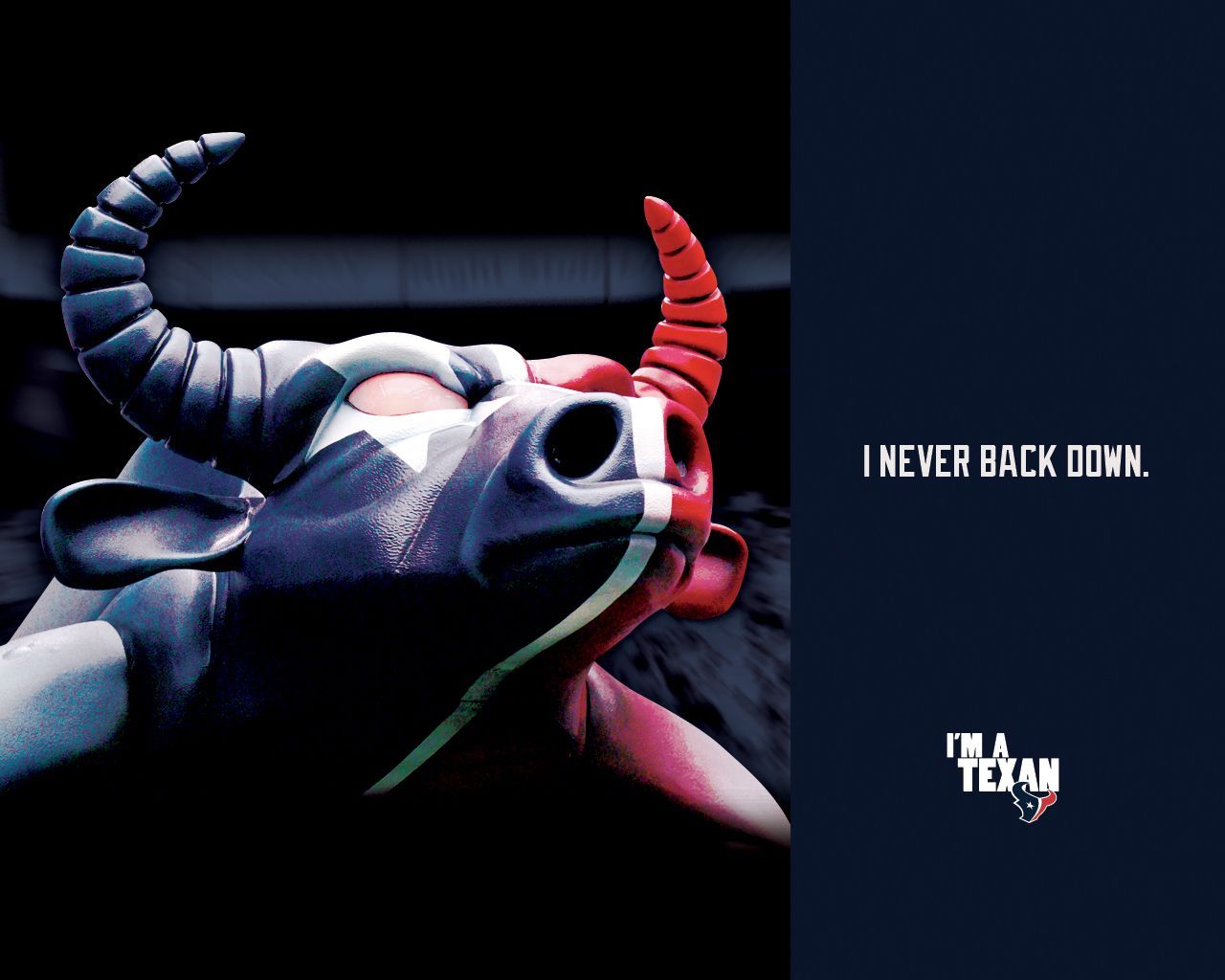 Texans Wallpaper