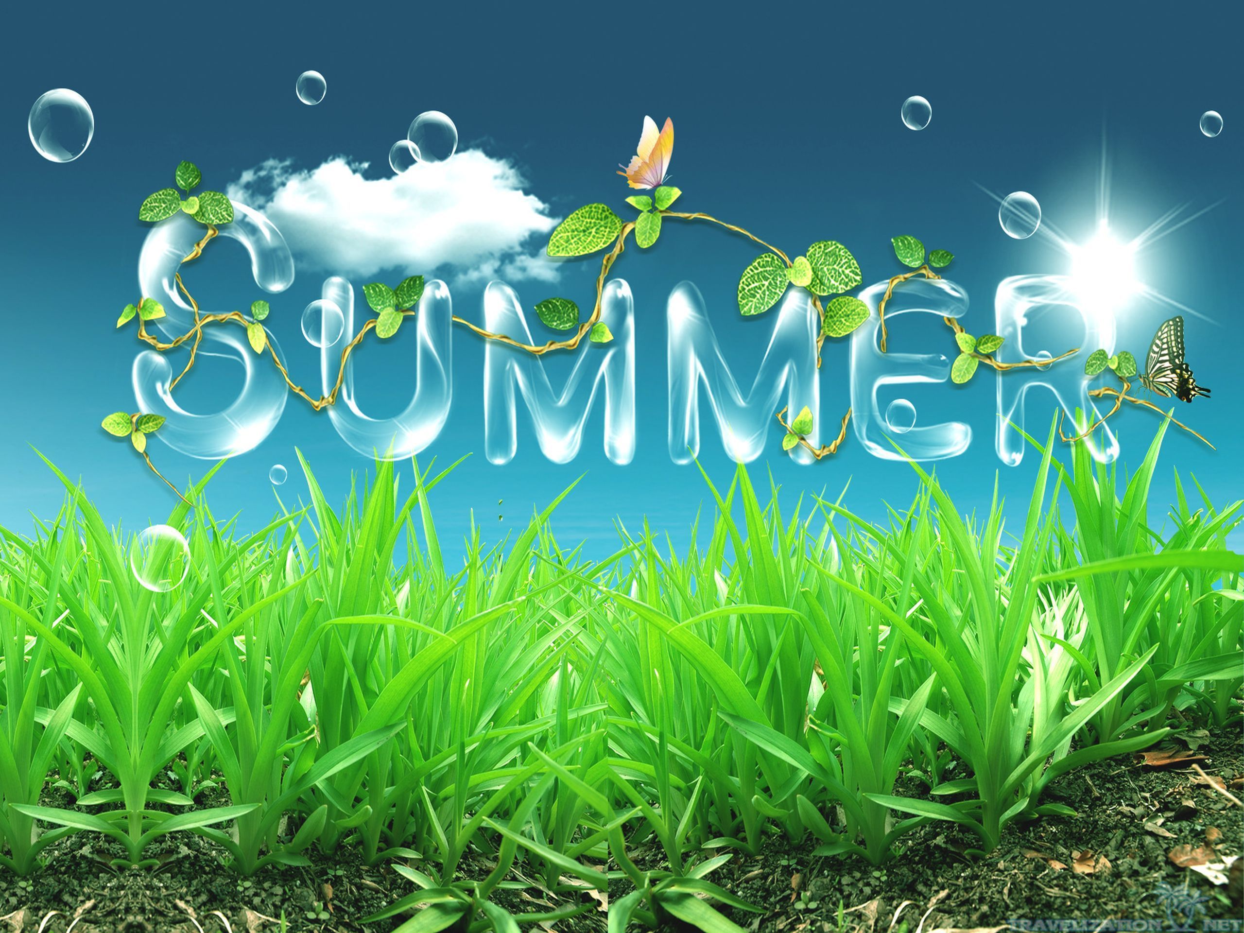 Summer Scene Wallpaper