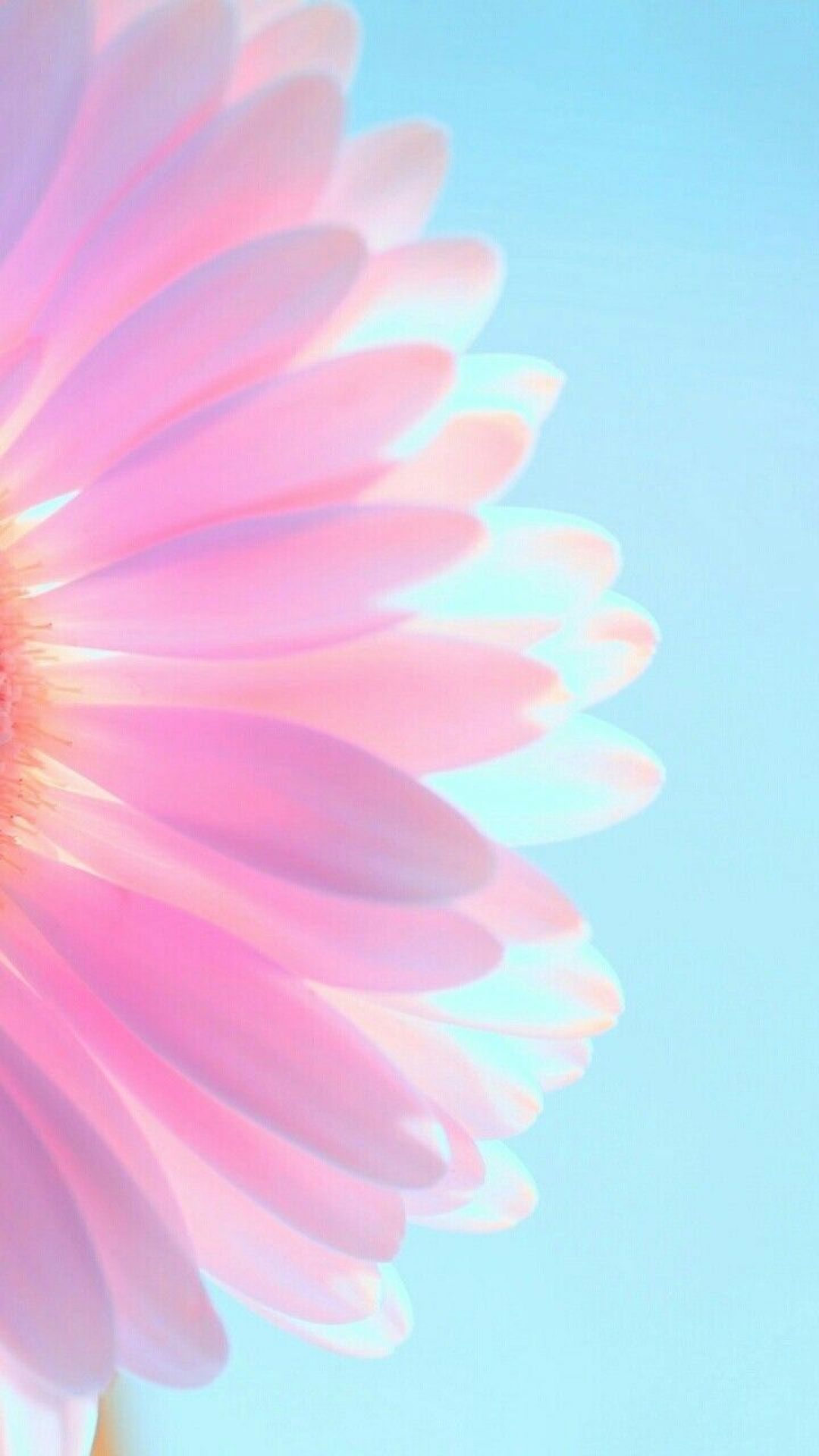 HD Aesthetic Pastel Wallpapers Wallpaper Cave HD Aesthetic Pastel Wallpapers Wallpaper Cave