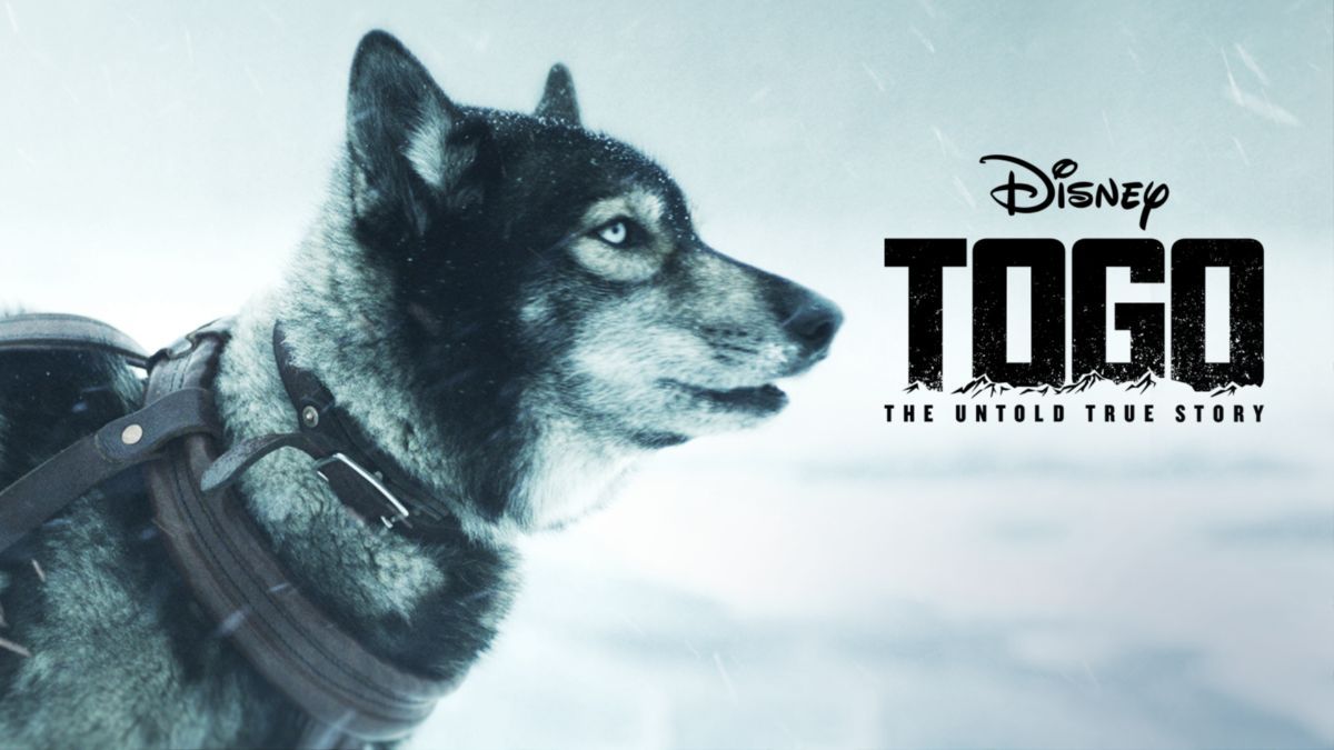 Watch Togo. Full Movie. Disney+