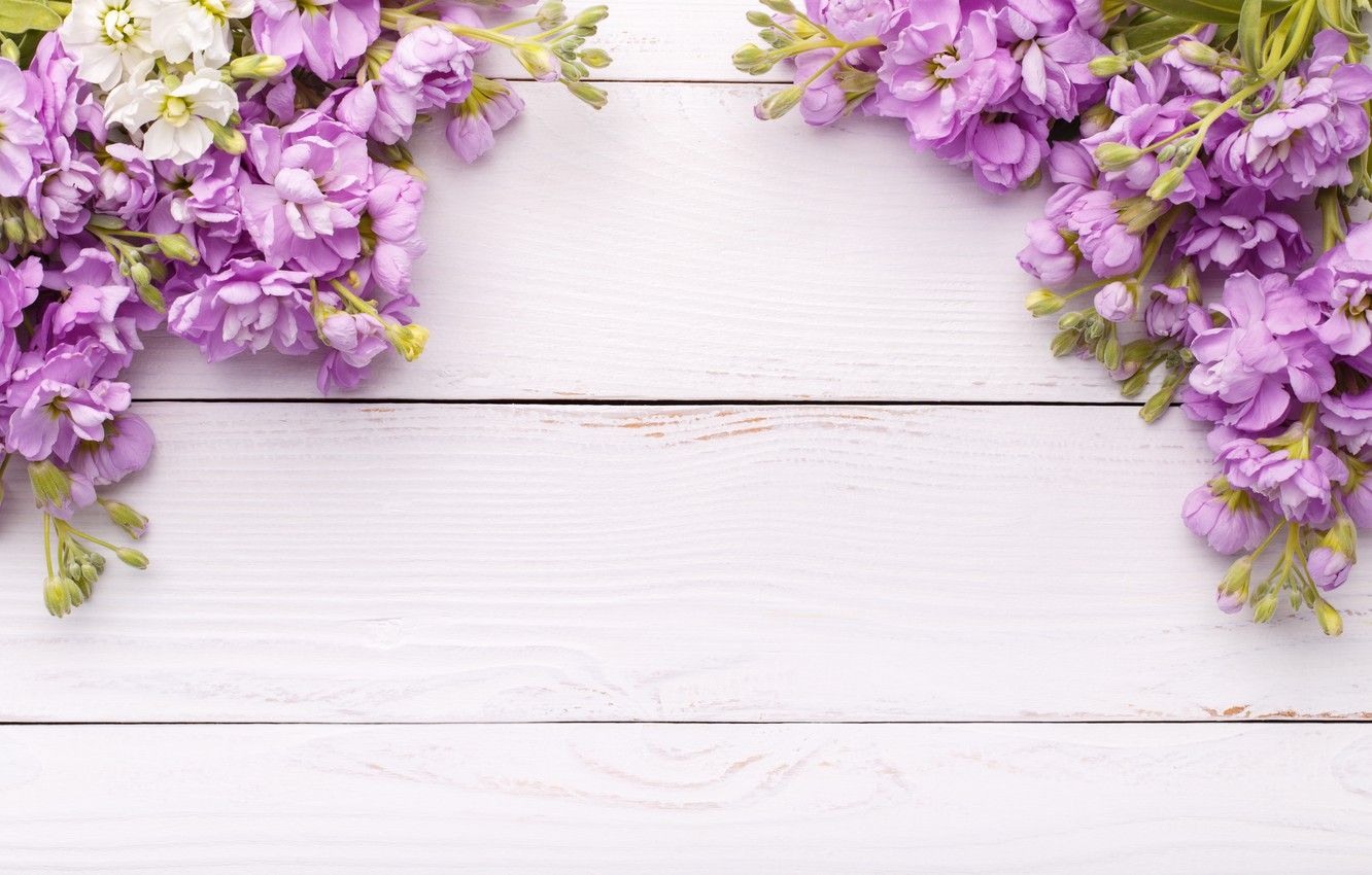 Spring Flowers On Wood Wallpapers - Wallpaper Cave