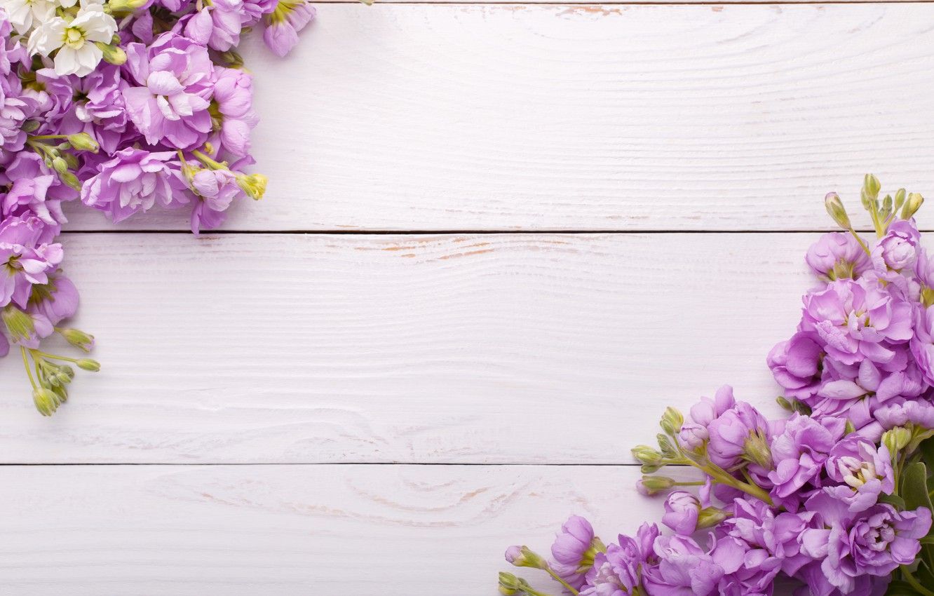 Wallpaper flowers, wood, flowers, spring, violet image
