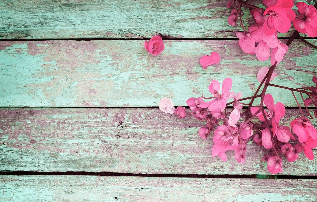 Wallpaper flowers, spring, pink, vintage, wood, pink, flowers