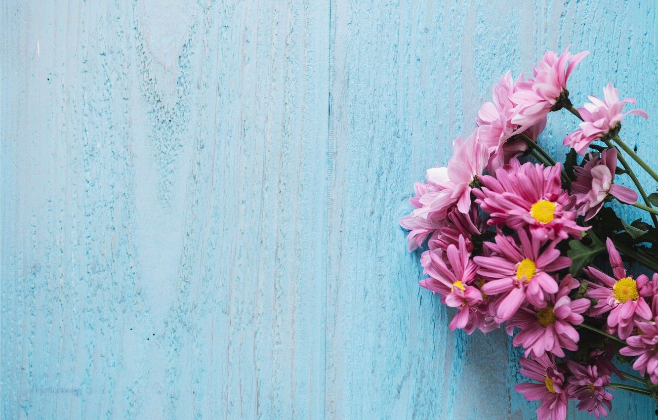 Wallpaper flowers, background, chrysanthemum, wood, pink, flowers