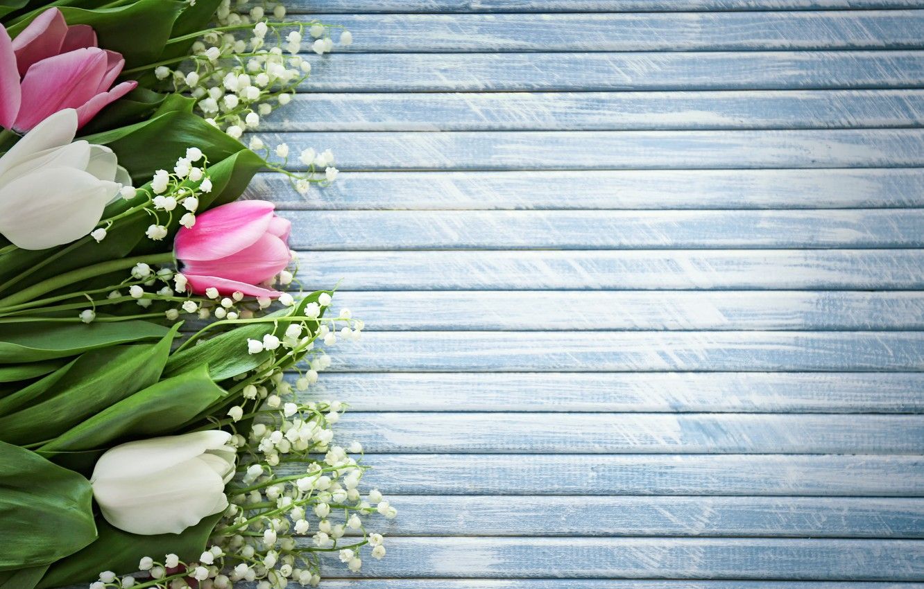 Wallpaper flowers, flowers, spring, tulips, tulips, wood, lilies