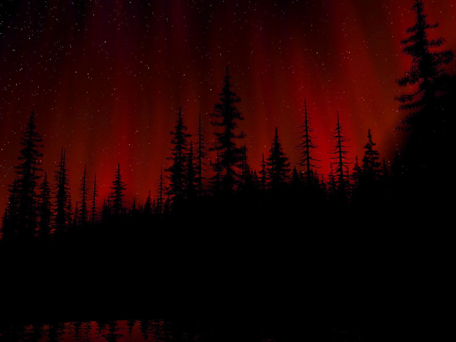 Dark Forest. Red aesthetic, Red sky, Northern lights wallpaper