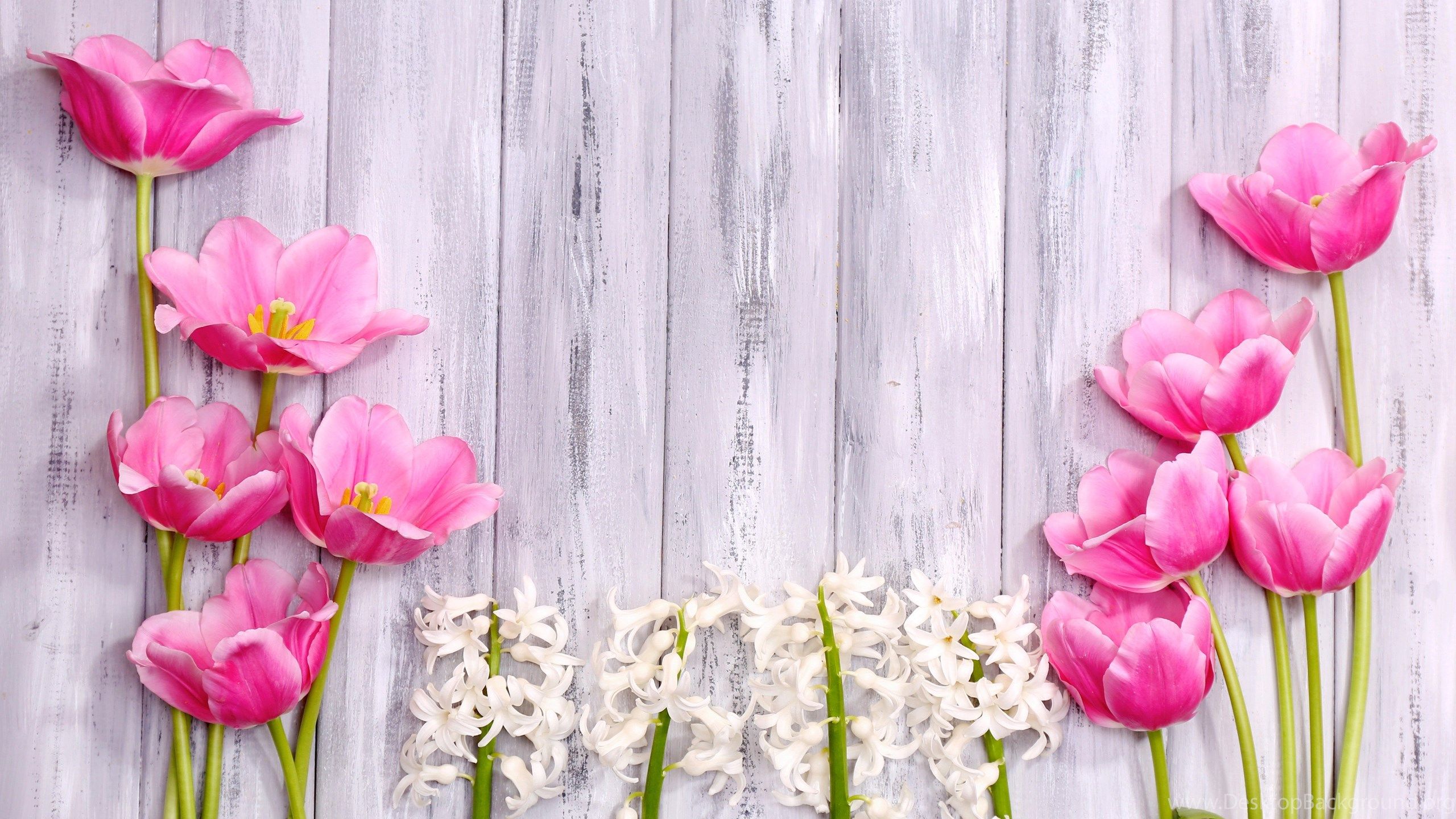 Flowers: Spring Flowers Hyacinth Wood Tulips Shutterstock Free