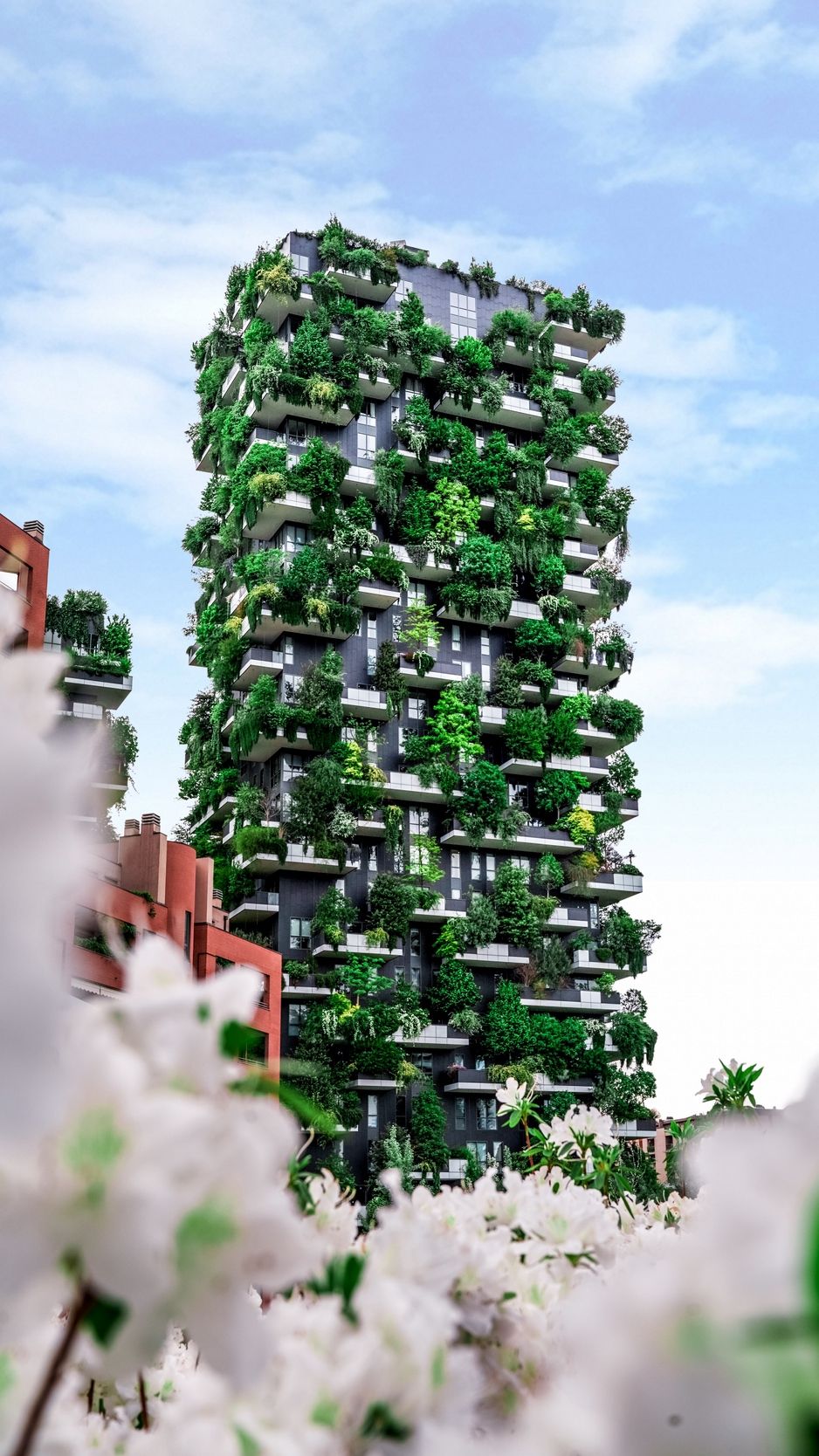 Download wallpaper 938x1668 house, building, plants, architecture