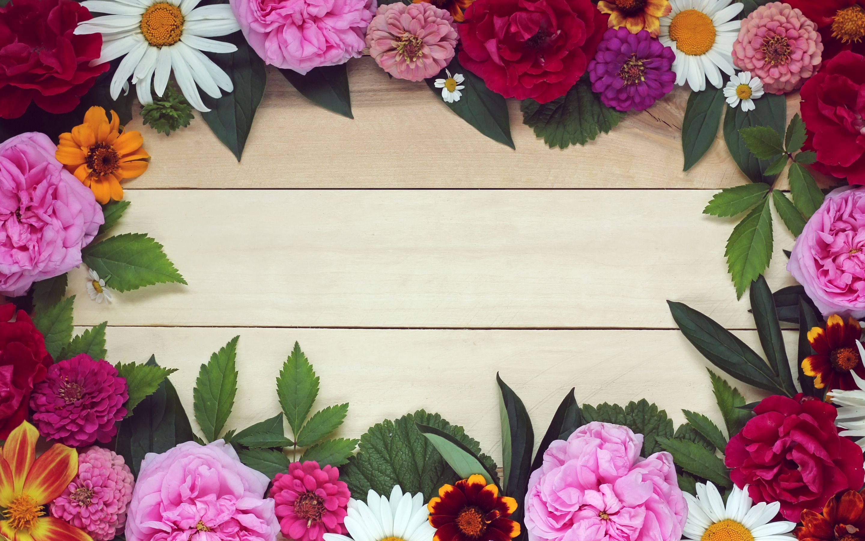 Download wallpaper frame of flowers, chrysanthemums, wooden