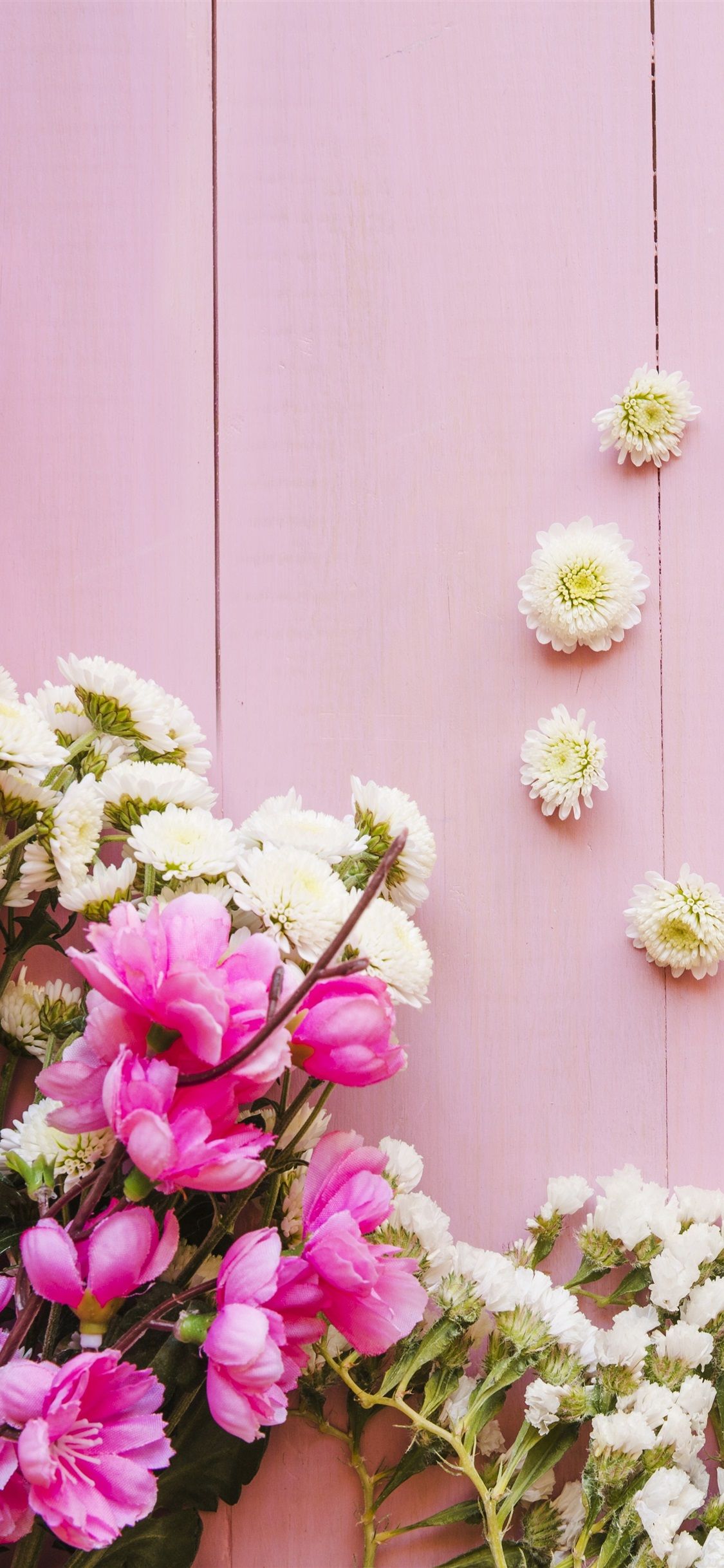 Pink And White Flowers, Wood Background 1125x2436 IPhone 11 Pro XS