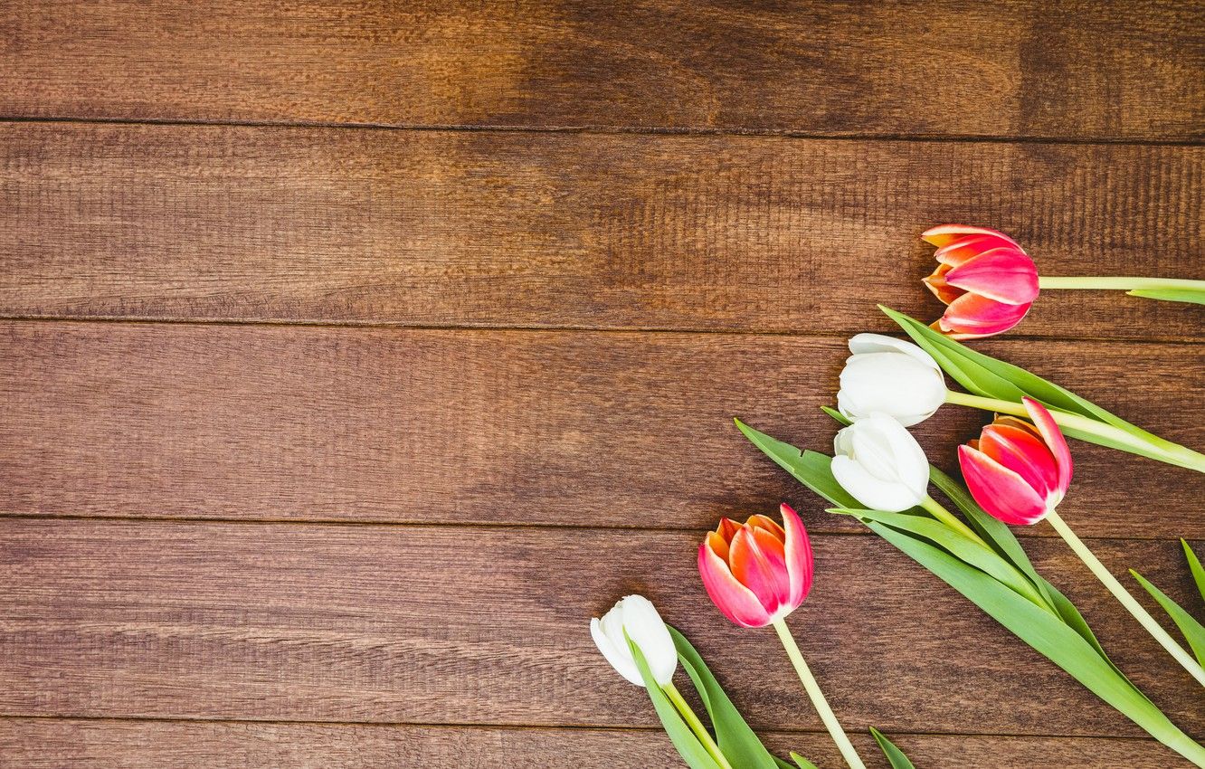Garden Flowers Over Wood Stock Photo  Download Image Now  Springtime  Backgrounds Flower  iStock