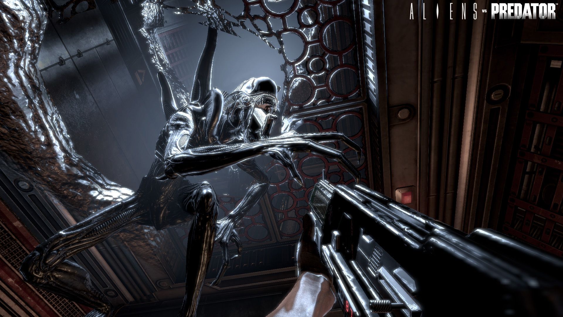 Aliens vs. Predator multiplayer demo incoming [Update]